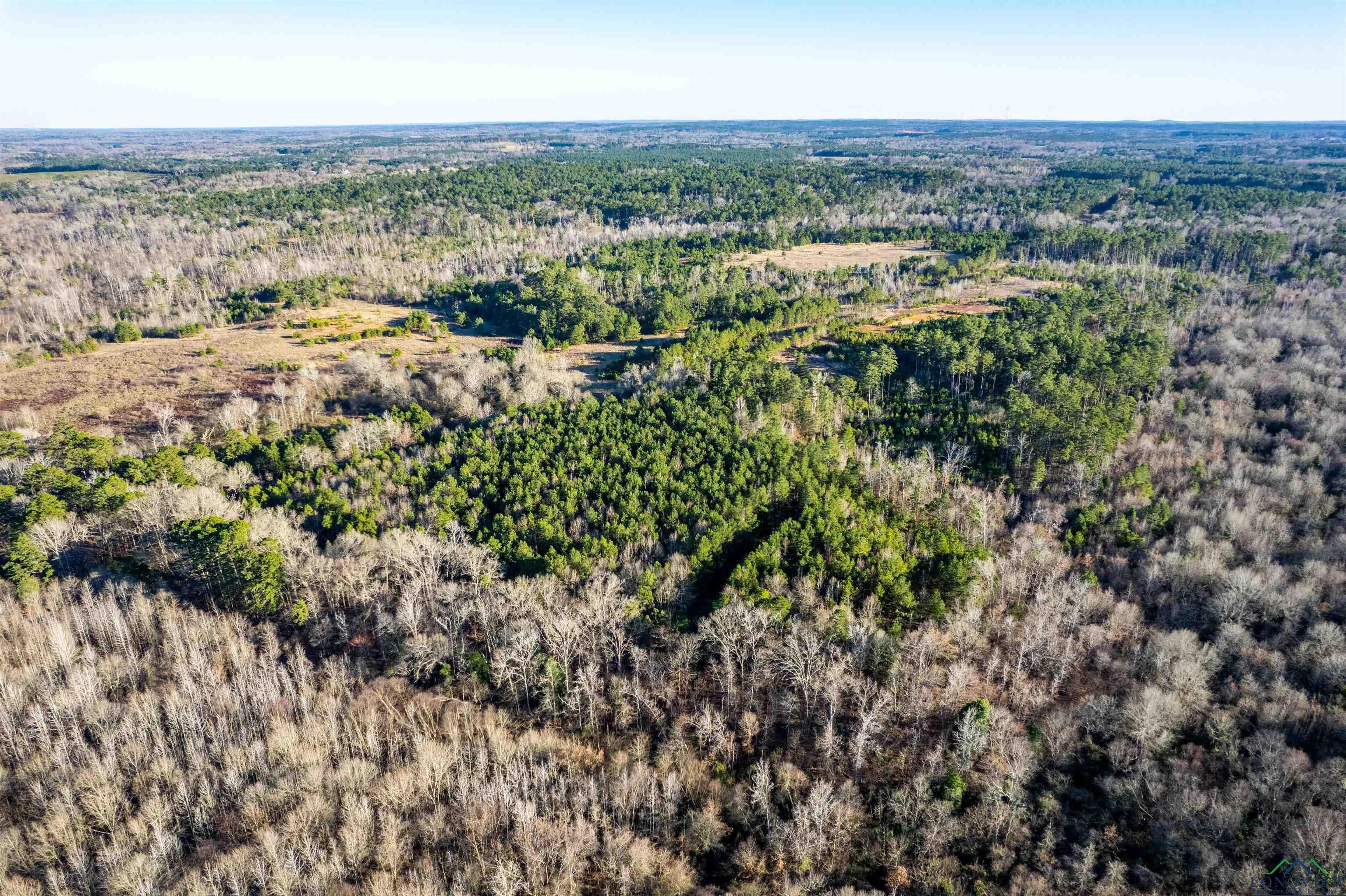 000 County Road 222, Henderson, Texas image 21