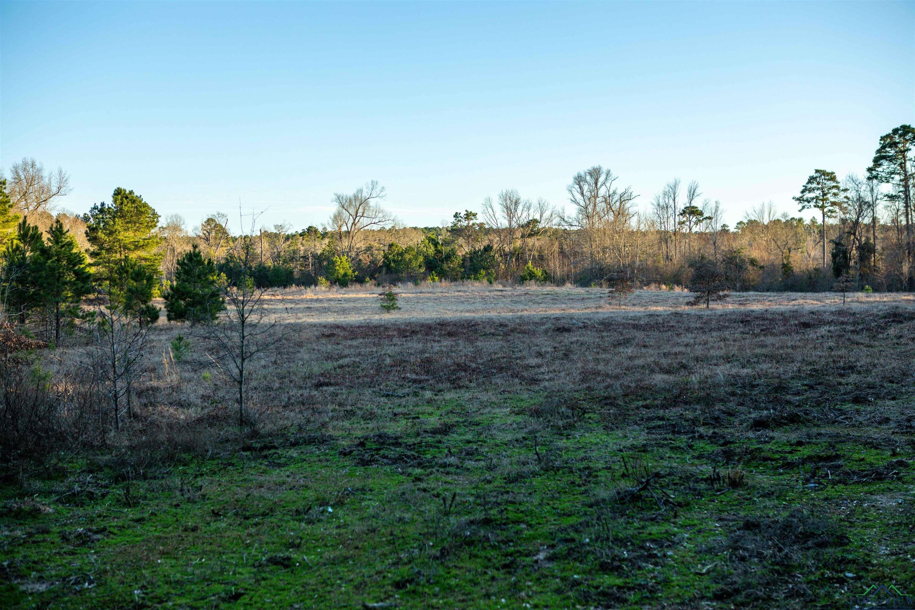 000 County Road 222, Henderson, Texas image 13