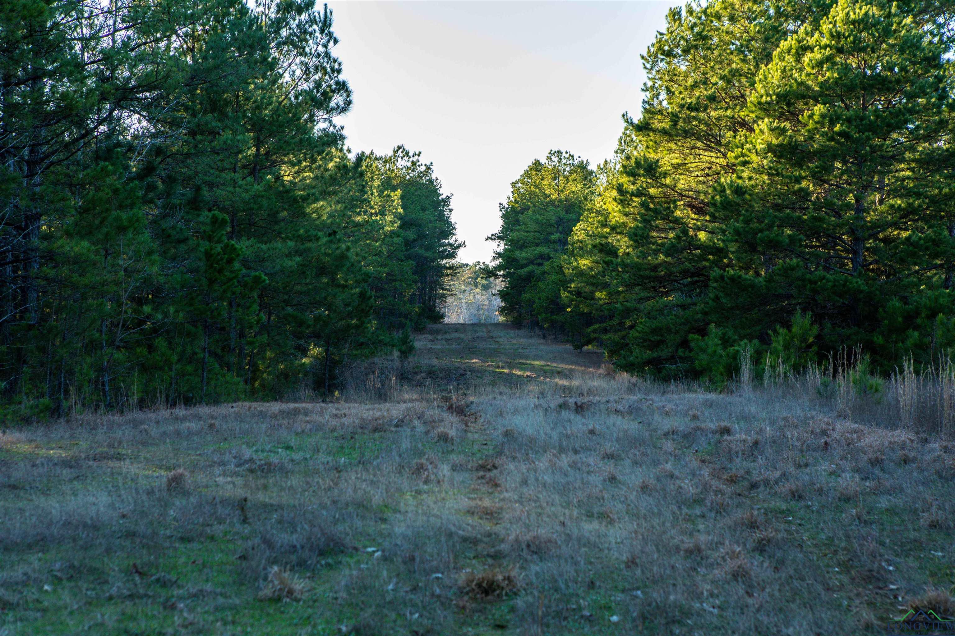 000 County Road 222, Henderson, Texas image 11