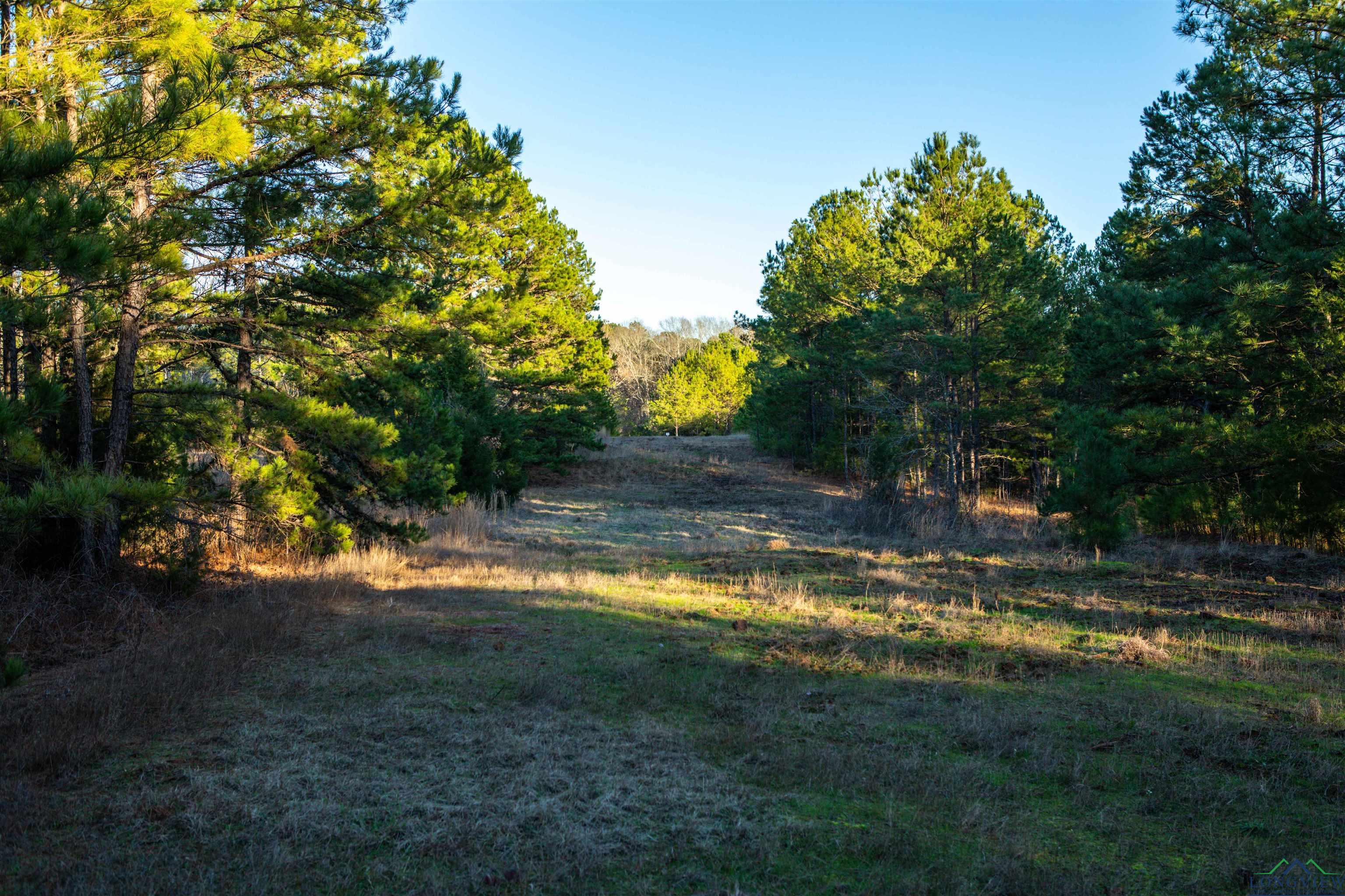 000 County Road 222, Henderson, Texas image 10