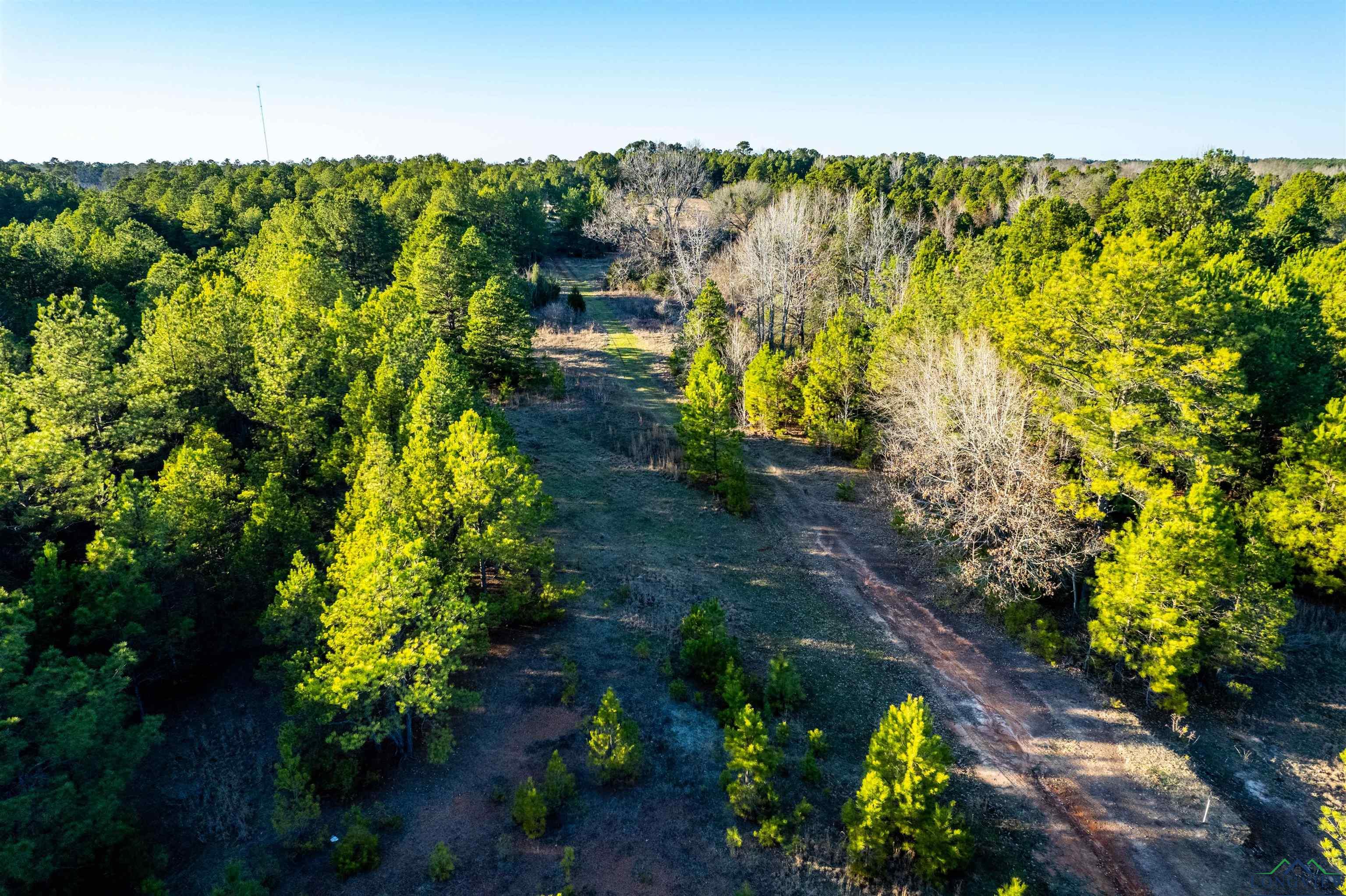 000 County Road 222, Henderson, Texas image 22