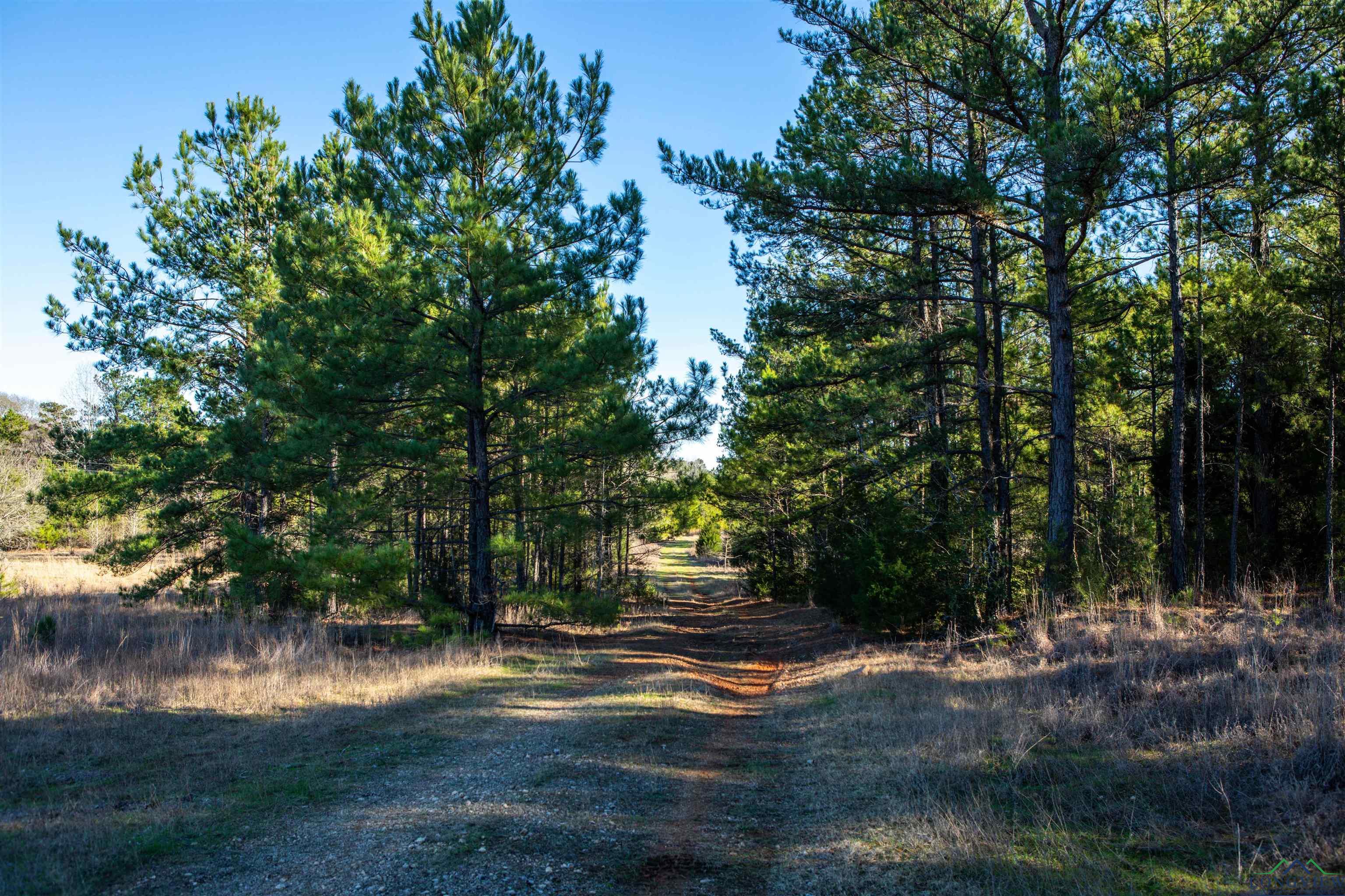 000 County Road 222, Henderson, Texas image 6