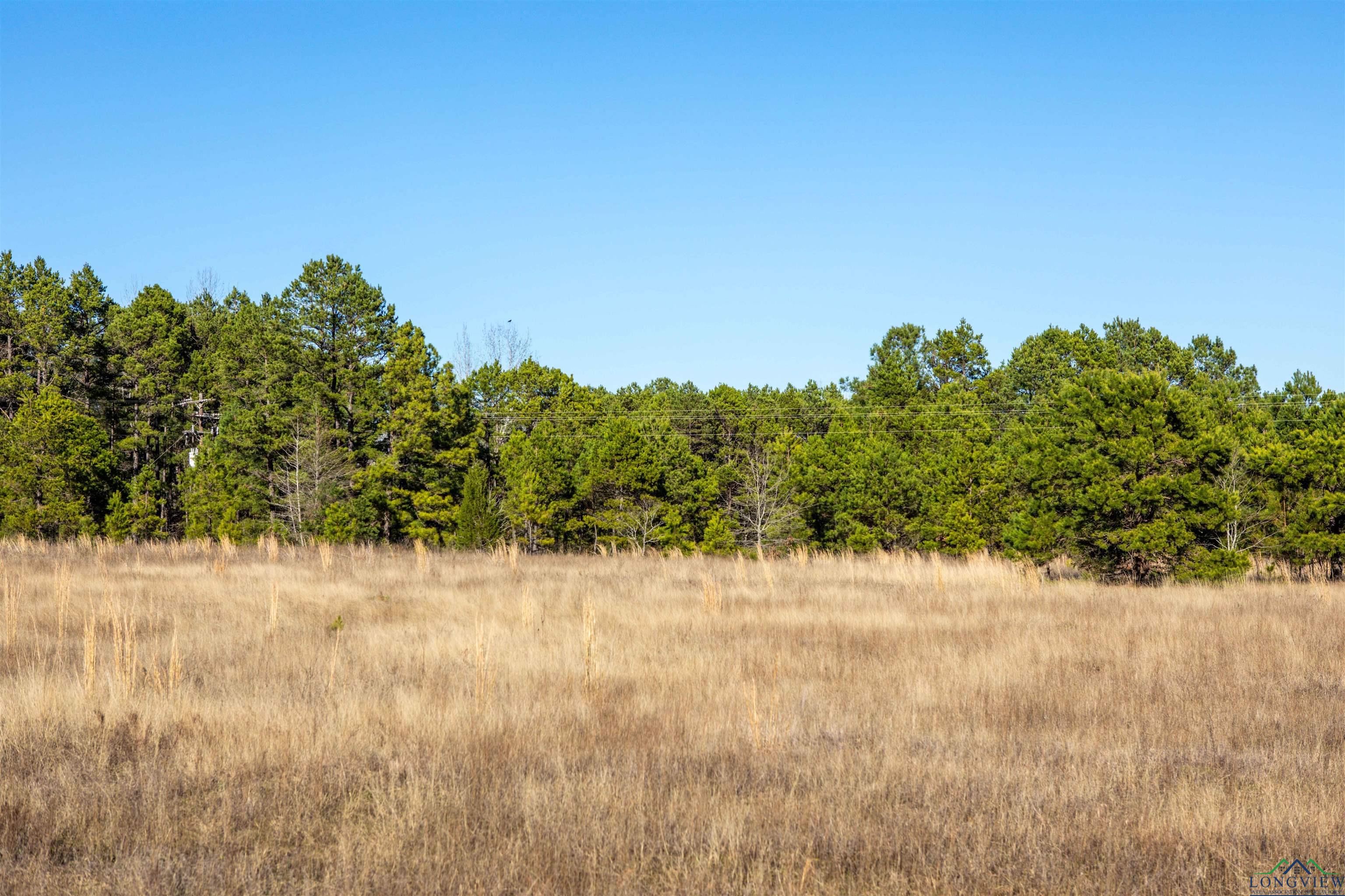 000 County Road 222, Henderson, Texas image 2