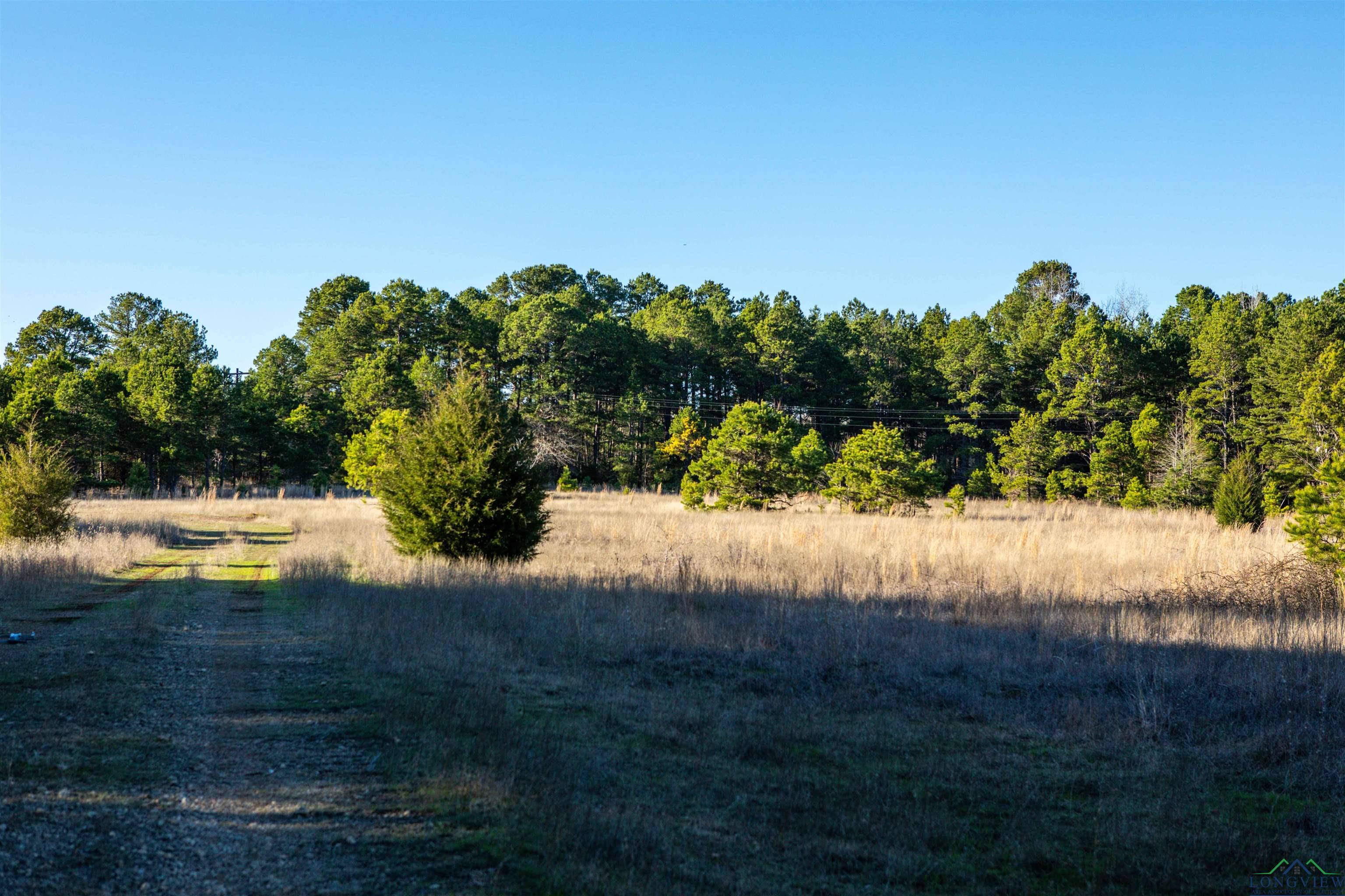 000 County Road 222, Henderson, Texas image 8