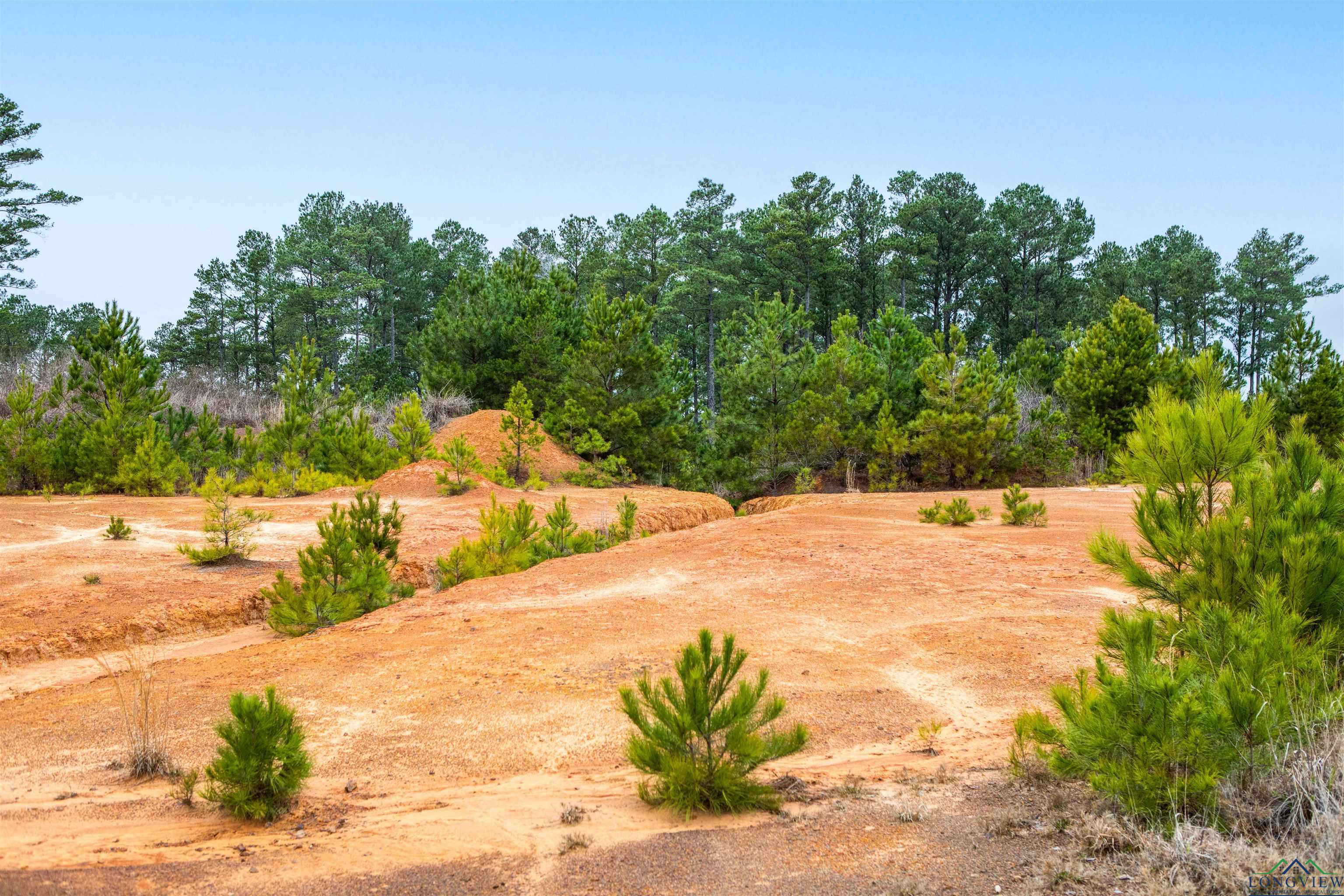 000 County Road 222, Henderson, Texas image 17