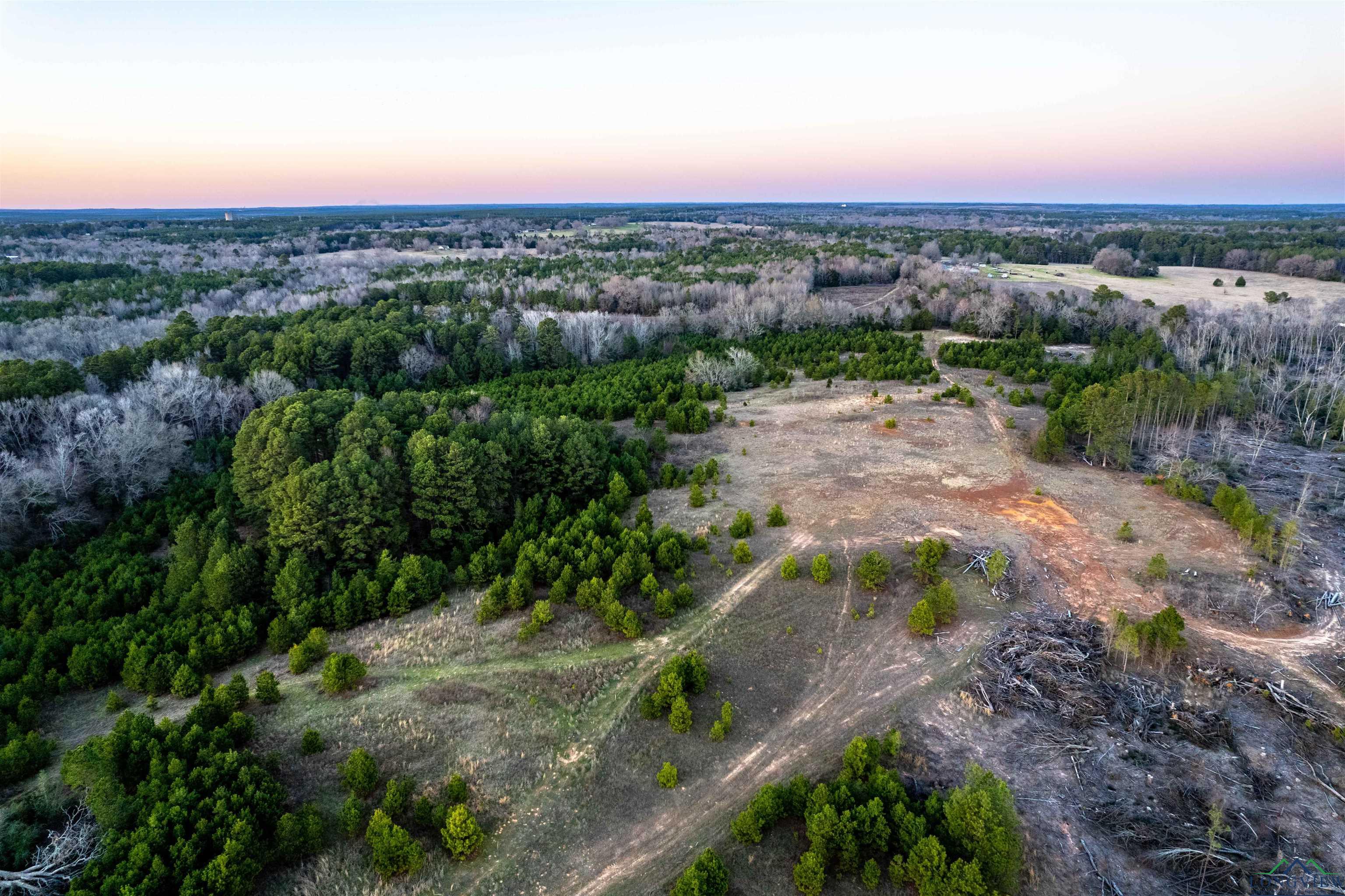 000 County Road 222, Henderson, Texas image 25