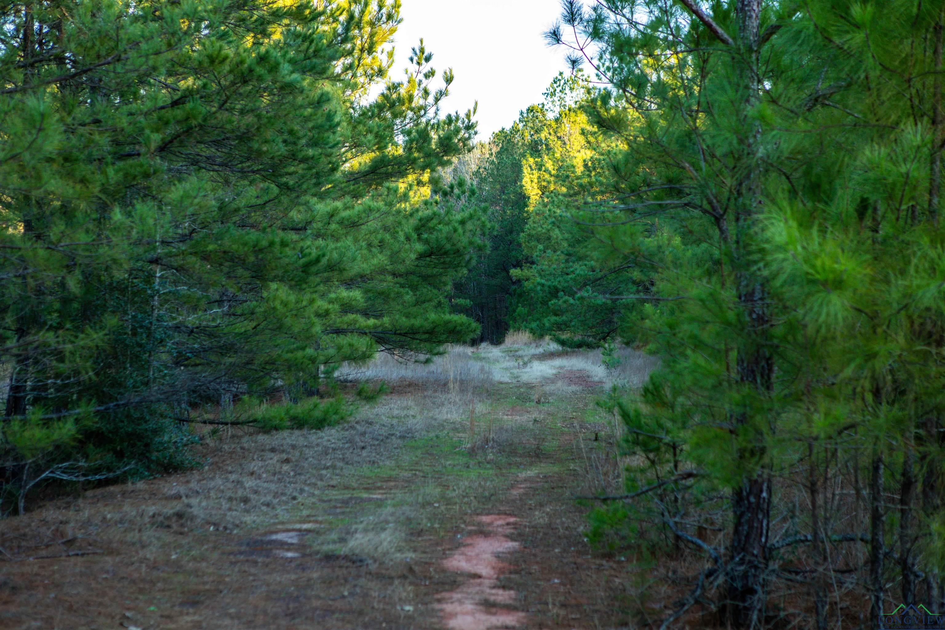 000 County Road 222, Henderson, Texas image 12