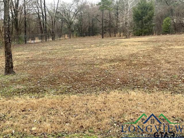 13293 County Road 217, Arp, Texas image 17