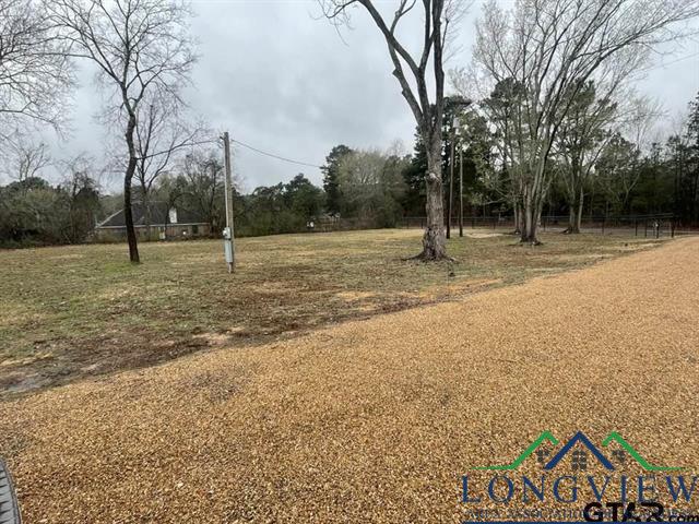 13293 County Road 217, Arp, Texas image 11
