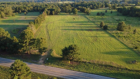 Vacant Land For Sale - 19762 Fm 2208<br/> Harleton, TX 75651