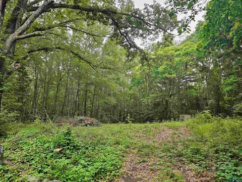 Vacant Land For Sale - 125 Jenkins St<br/> Rusk County, Henderson, TX 75654