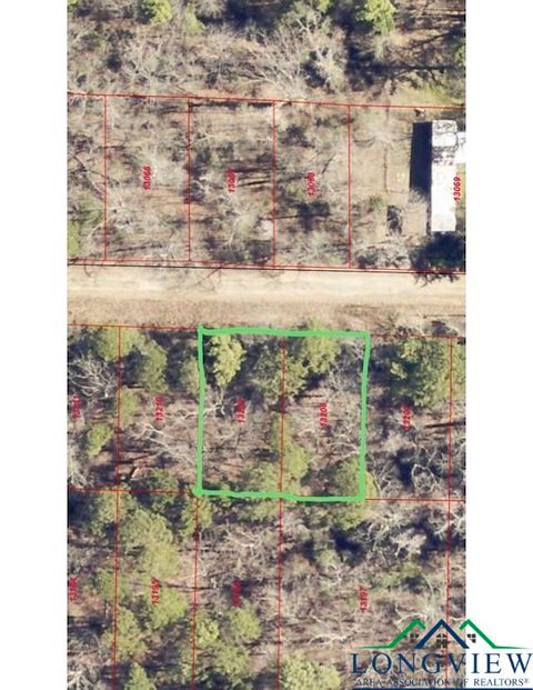 Vacant Land For Sale - Dallas Loop<br/> Marion County, Avinger, TX 75630