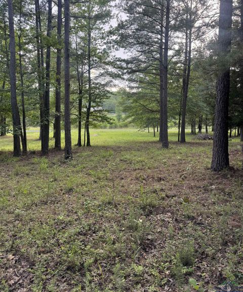 Vacant Land For Sale - 000 Pr 7223<br/> Jefferson, TX 75657