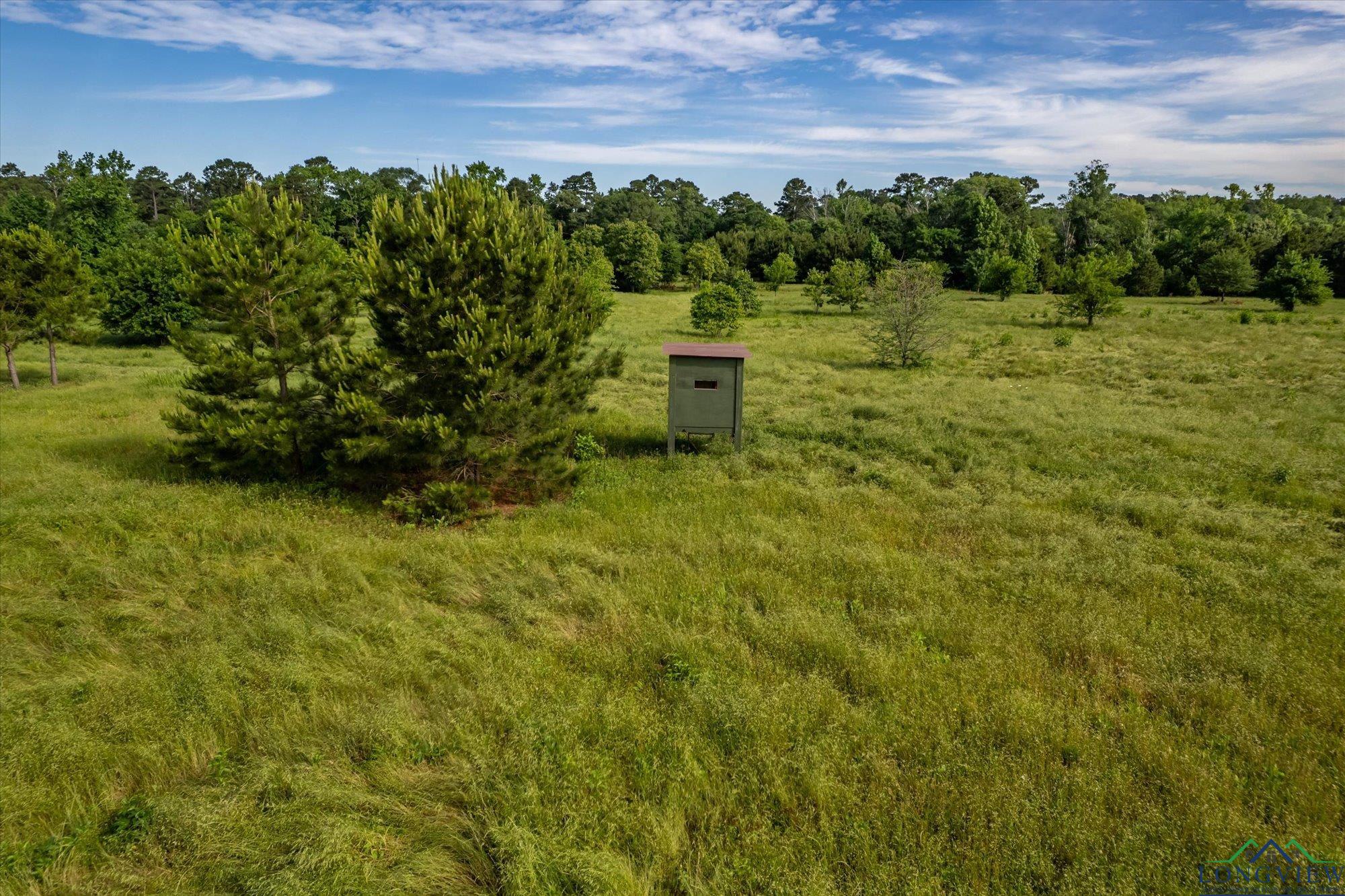2010 Cr 222, Henderson, Texas image 12