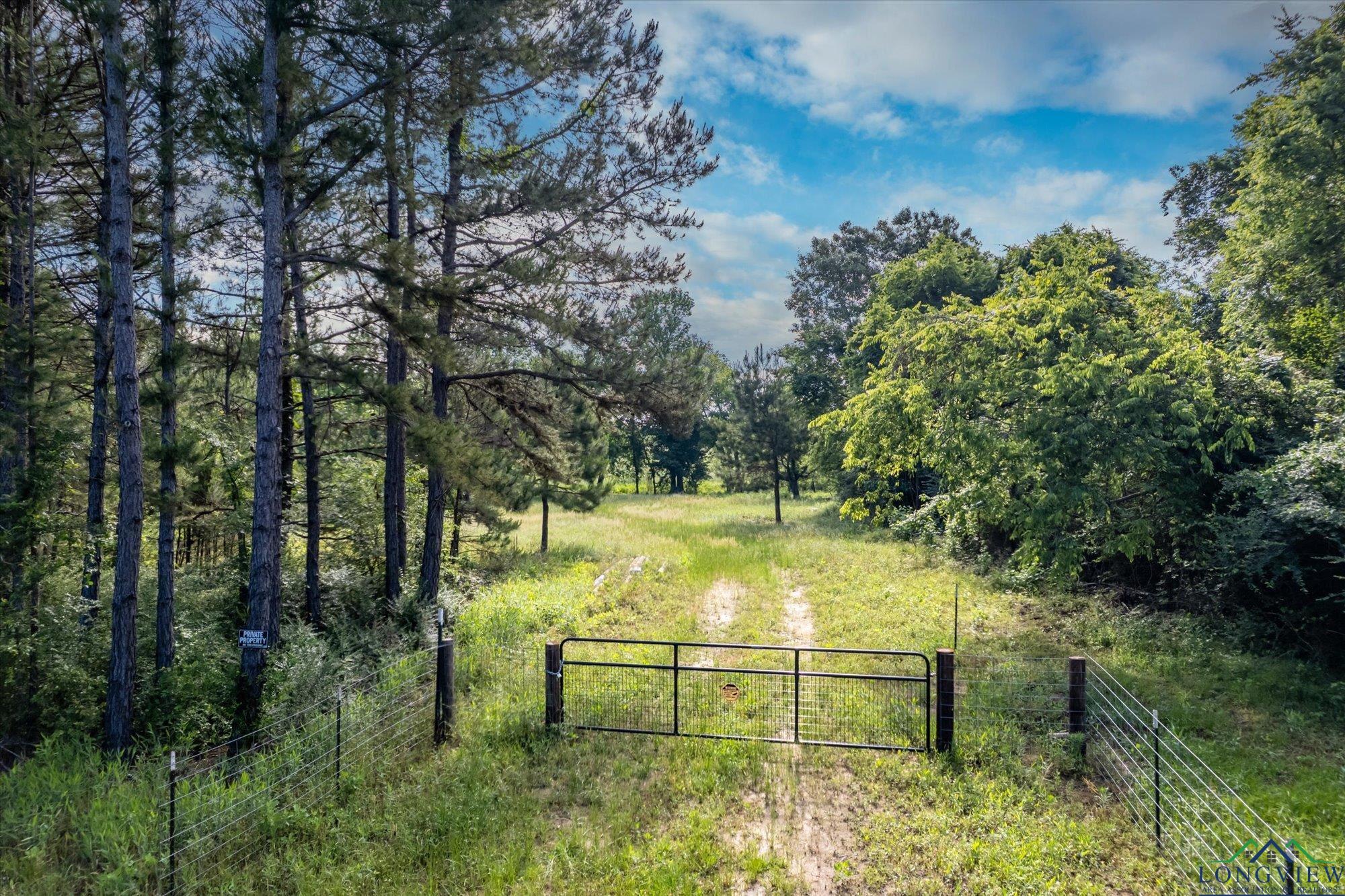 2010 Cr 222, Henderson, Texas image 3