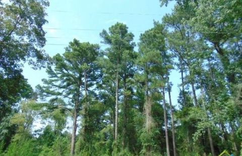 Vacant Land For Sale - 260 Chelsea Lane<br/> Cherokee County, Bullard, TX 75757