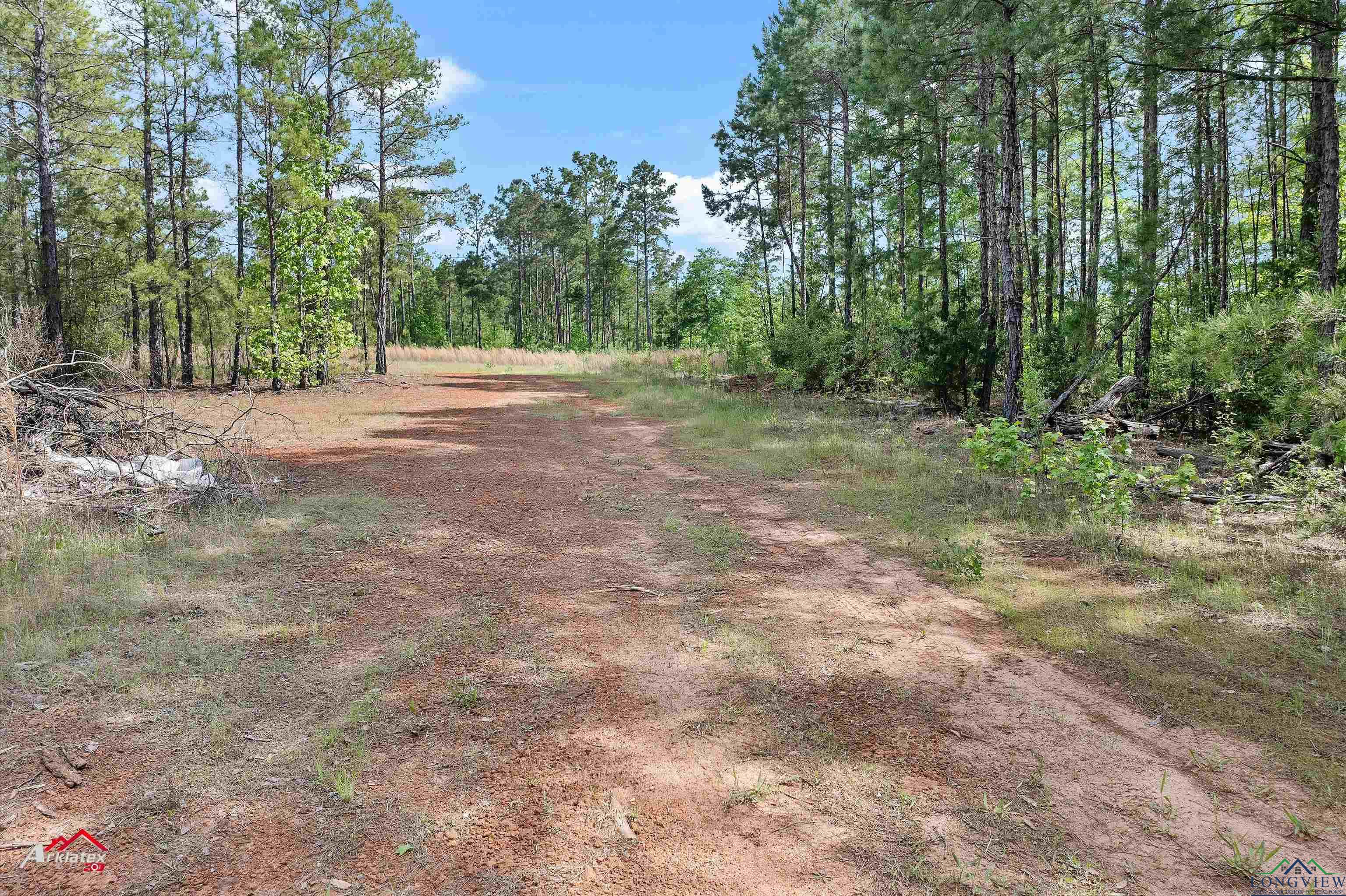 2573 County Road 222, Henderson, Texas image 13