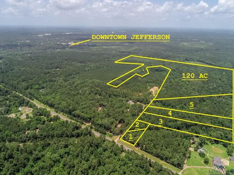 Homes For Sale - LOT 4 Fm 134<br/> Jefferson, TX 75657