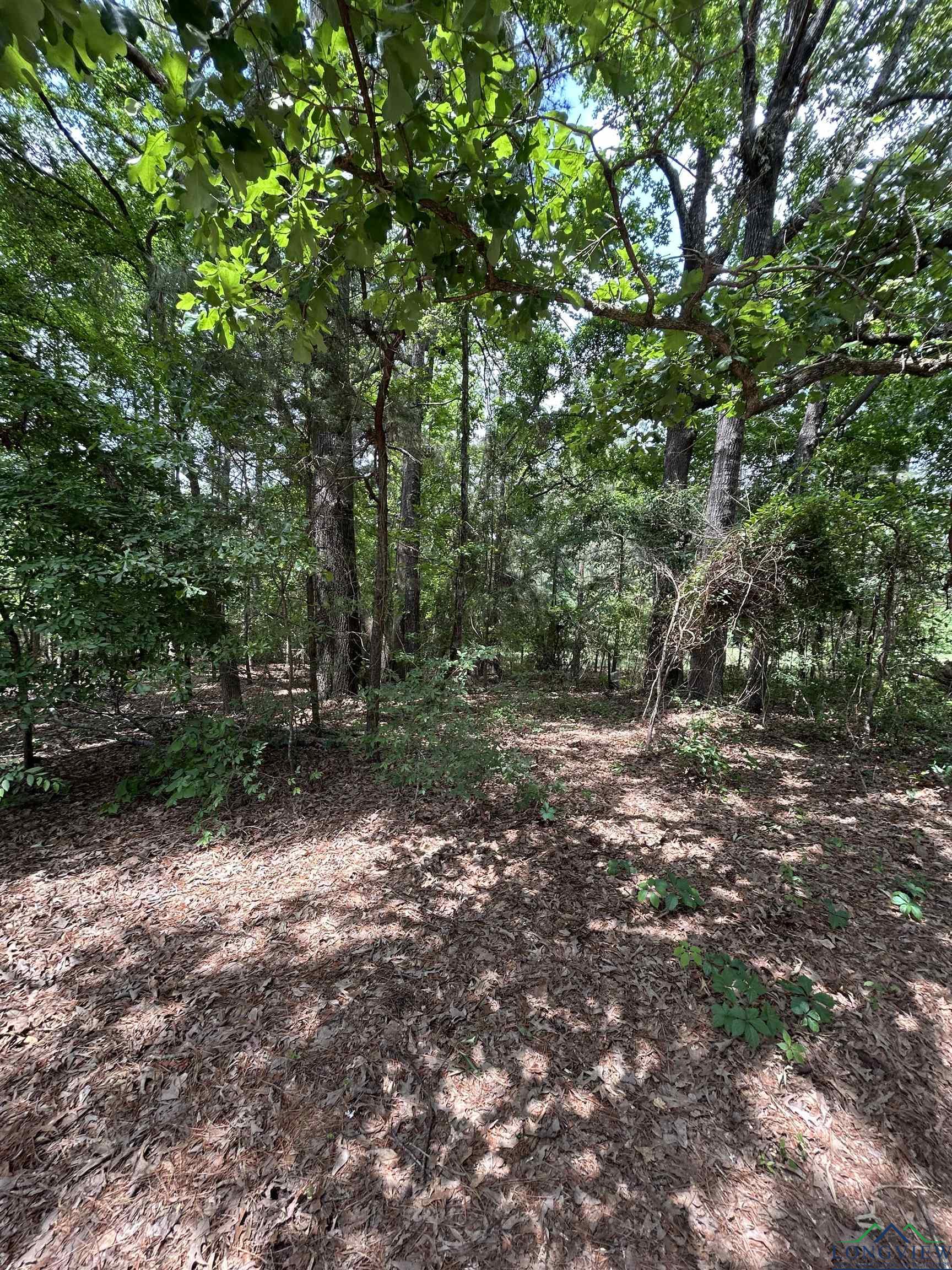 Tbd Quanah Dr, Avinger, Texas image 1