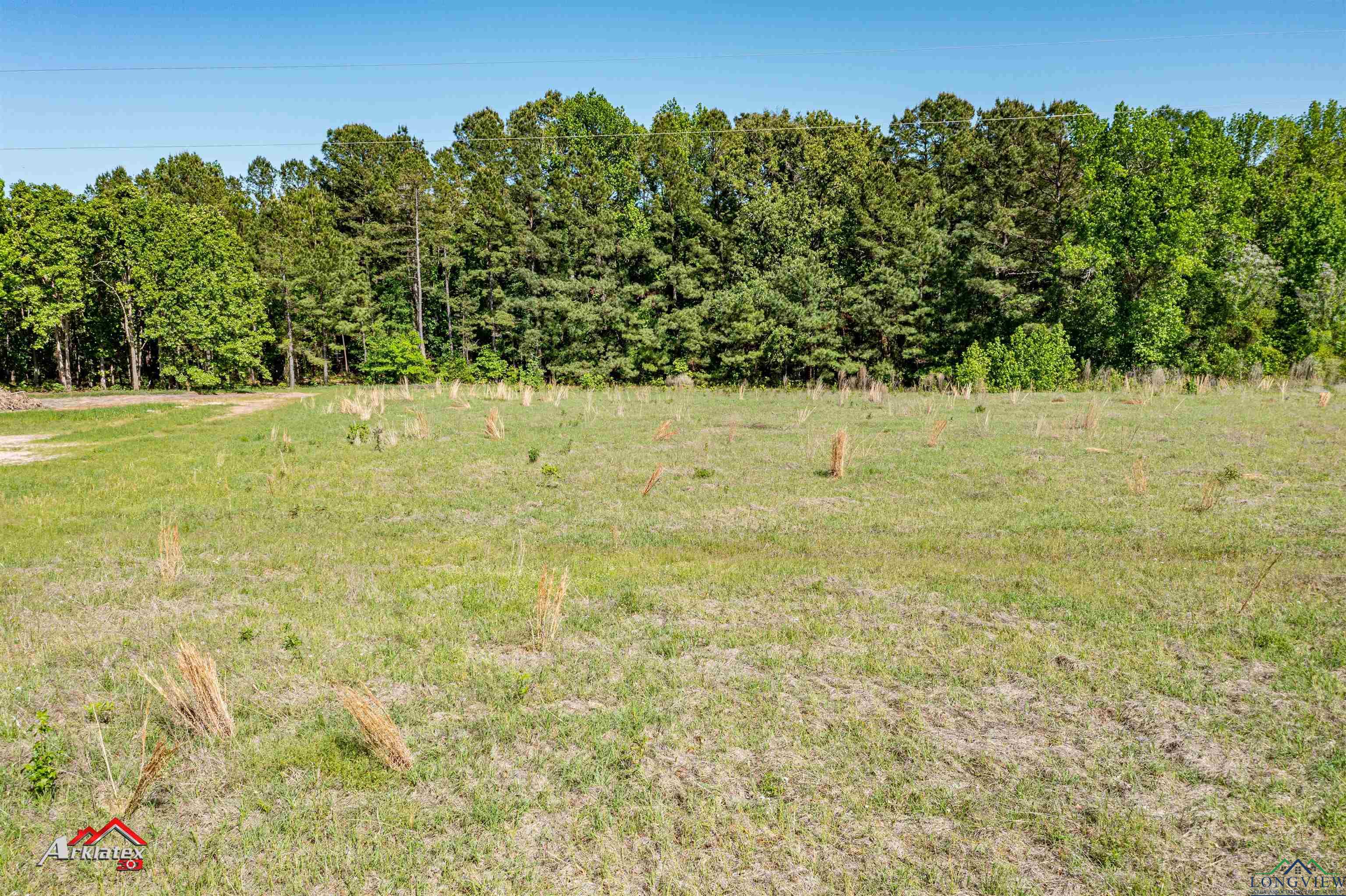 1015 Collins Rd, Lot 3, Hallsville, Texas image 1