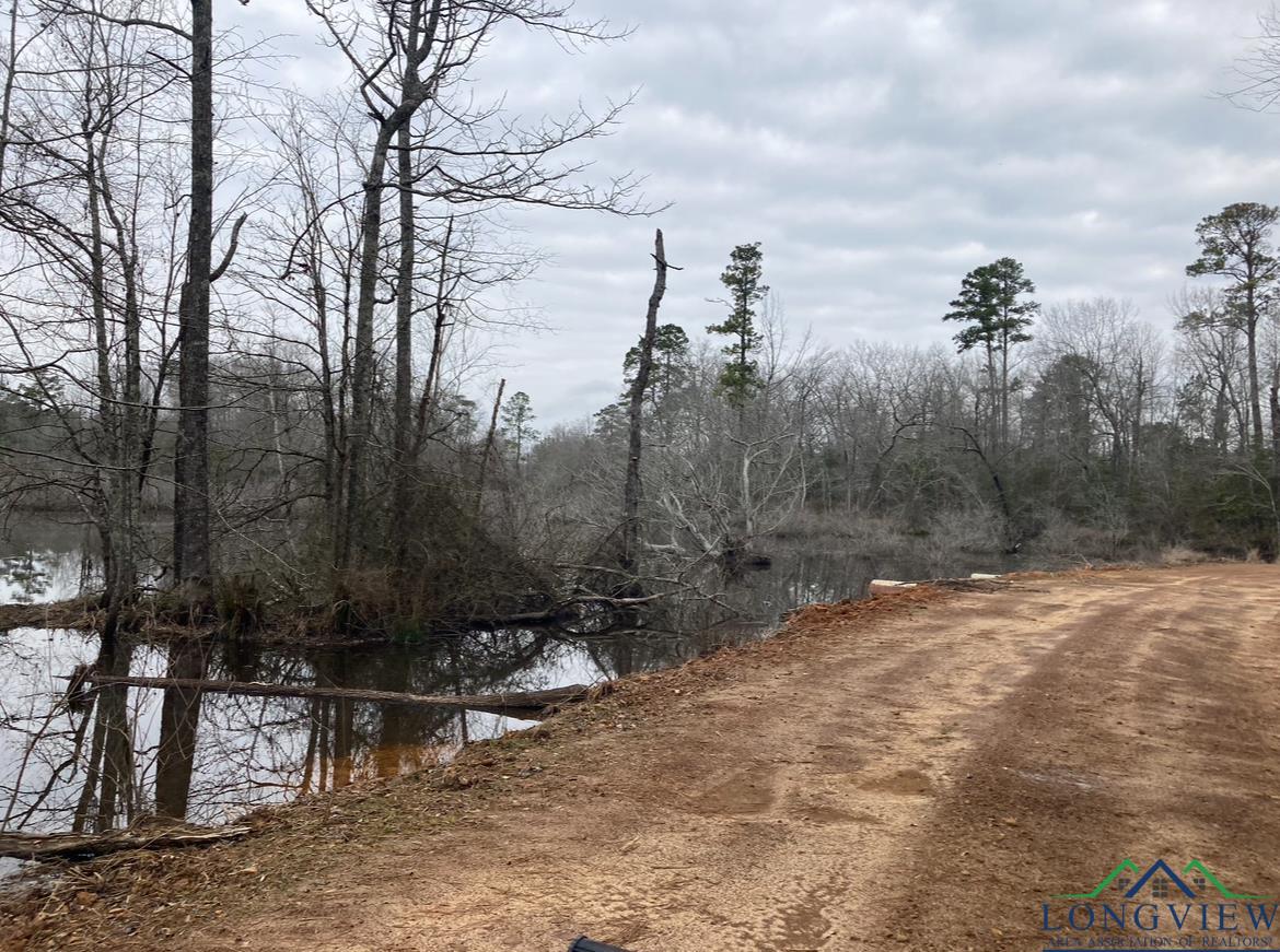 County Road 1579, Hughes Springs, Texas image 10