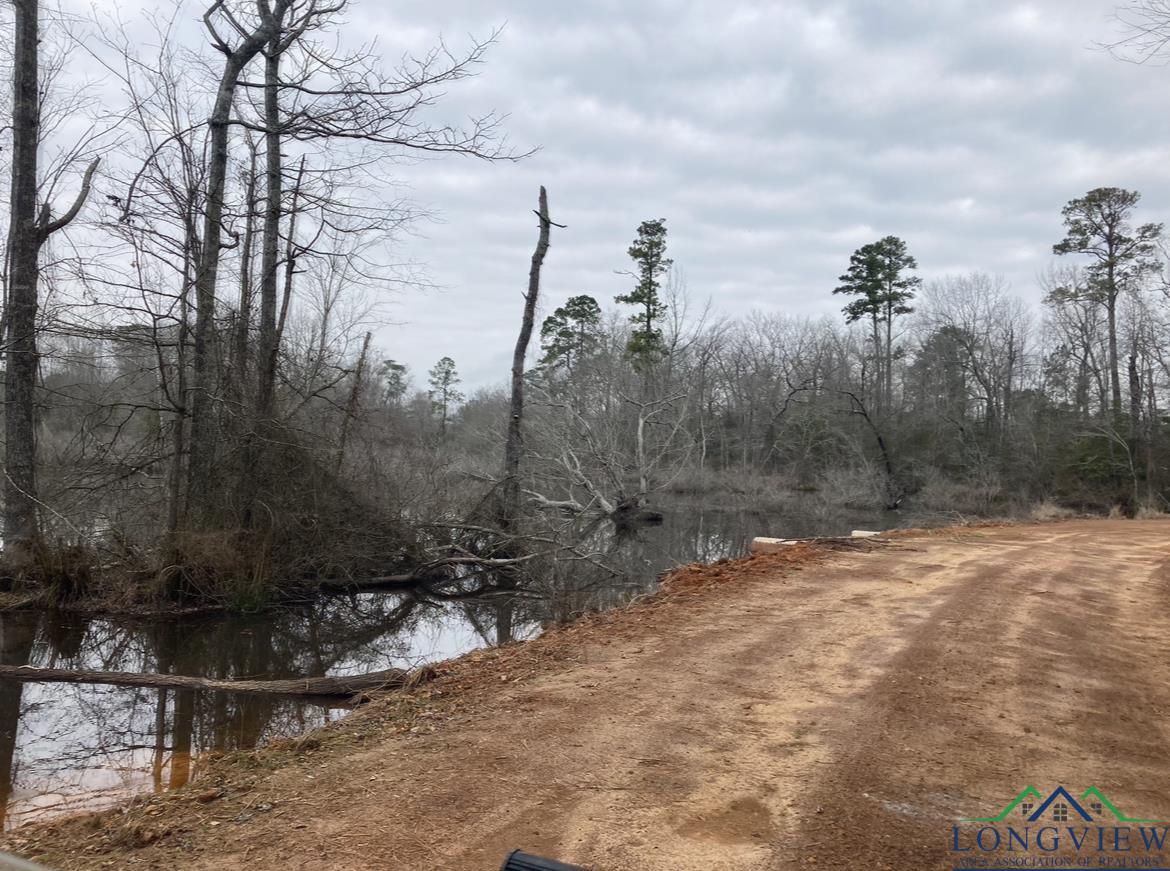 County Road 1579, Hughes Springs, Texas image 4