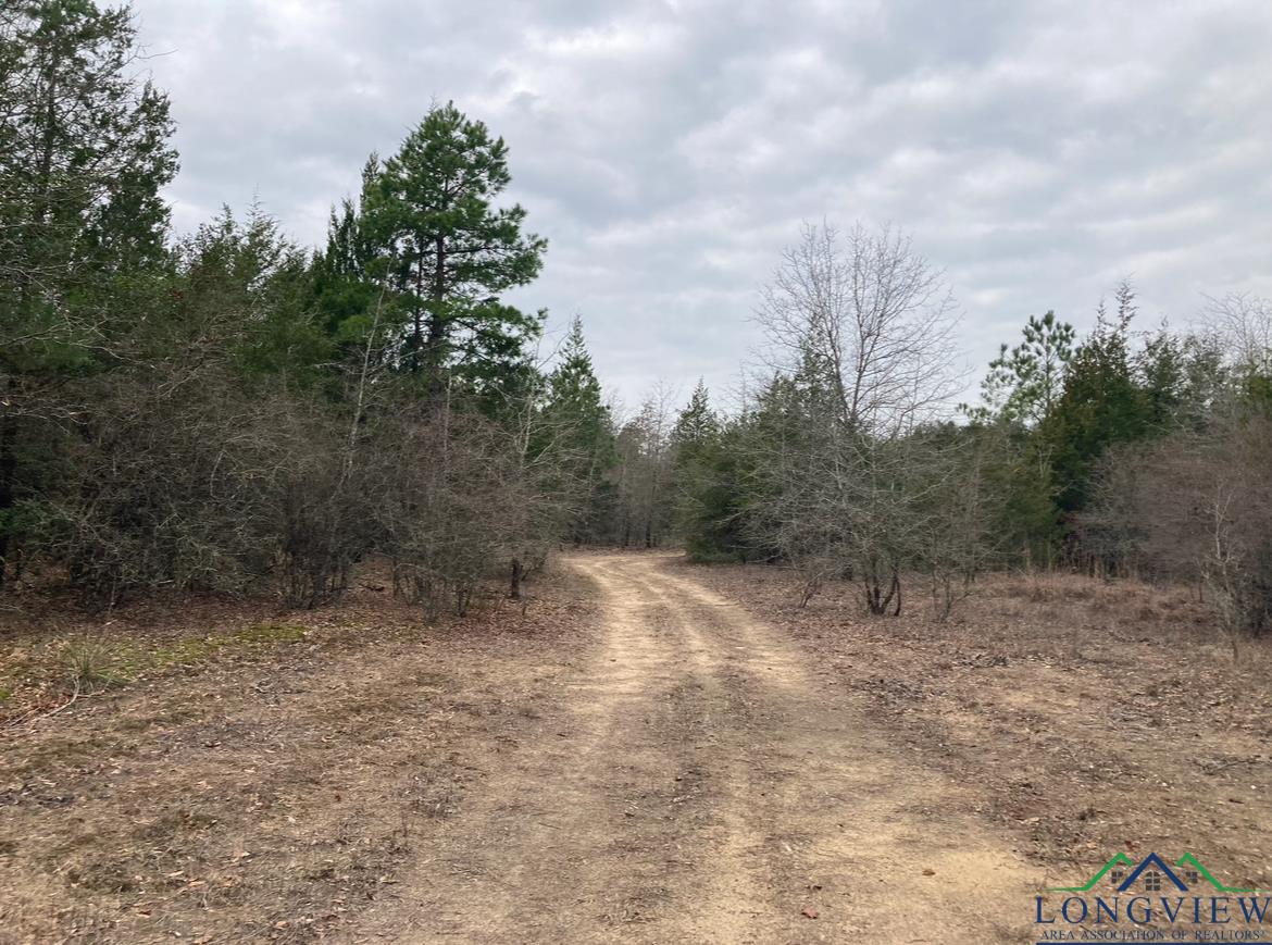 County Road 1579, Hughes Springs, Texas image 7