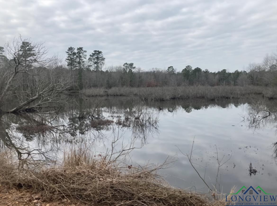 County Road 1579, Hughes Springs, Texas image 9