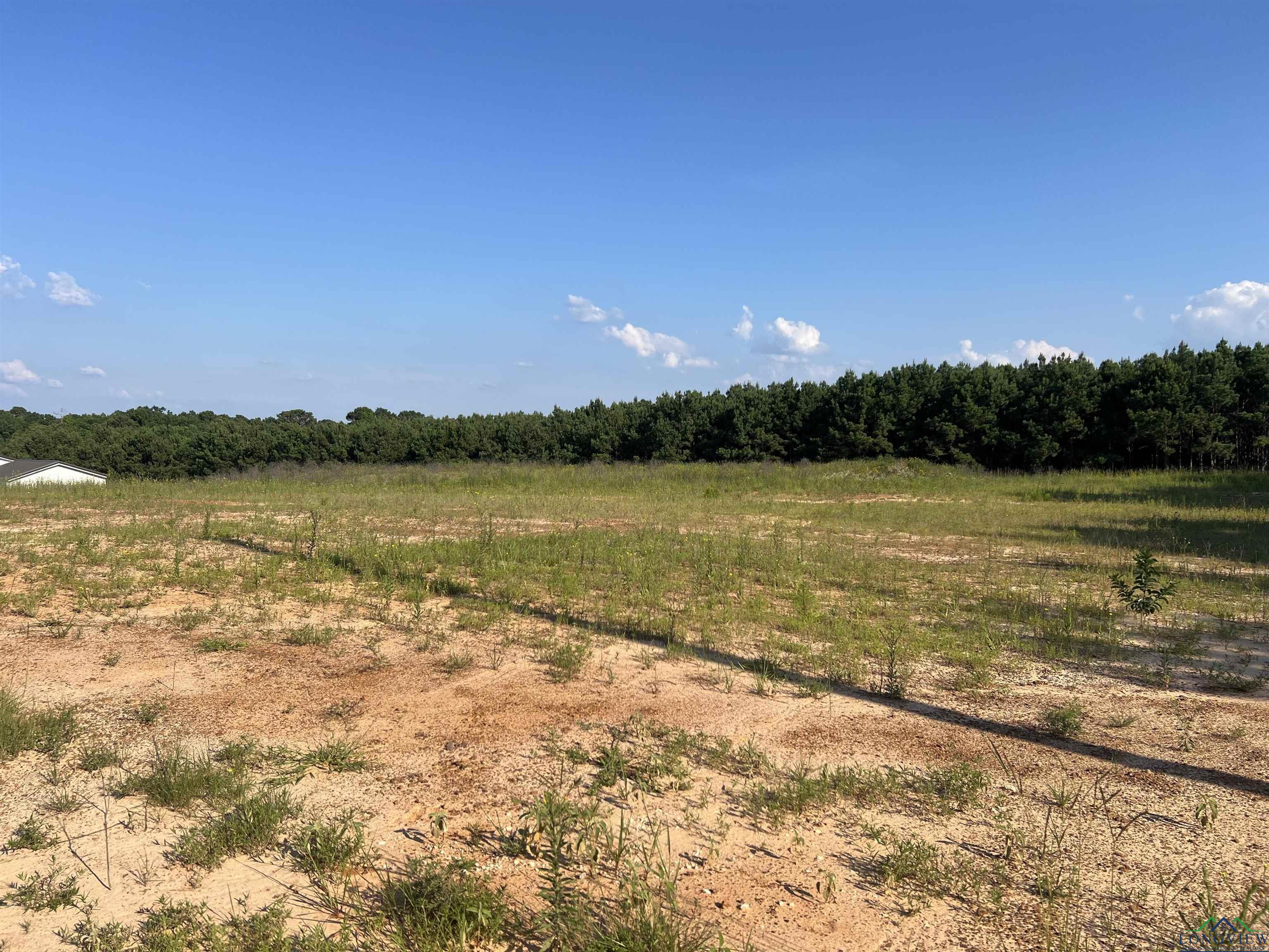 Lot 11 Jacklyn Ln, Diana, Texas image 2