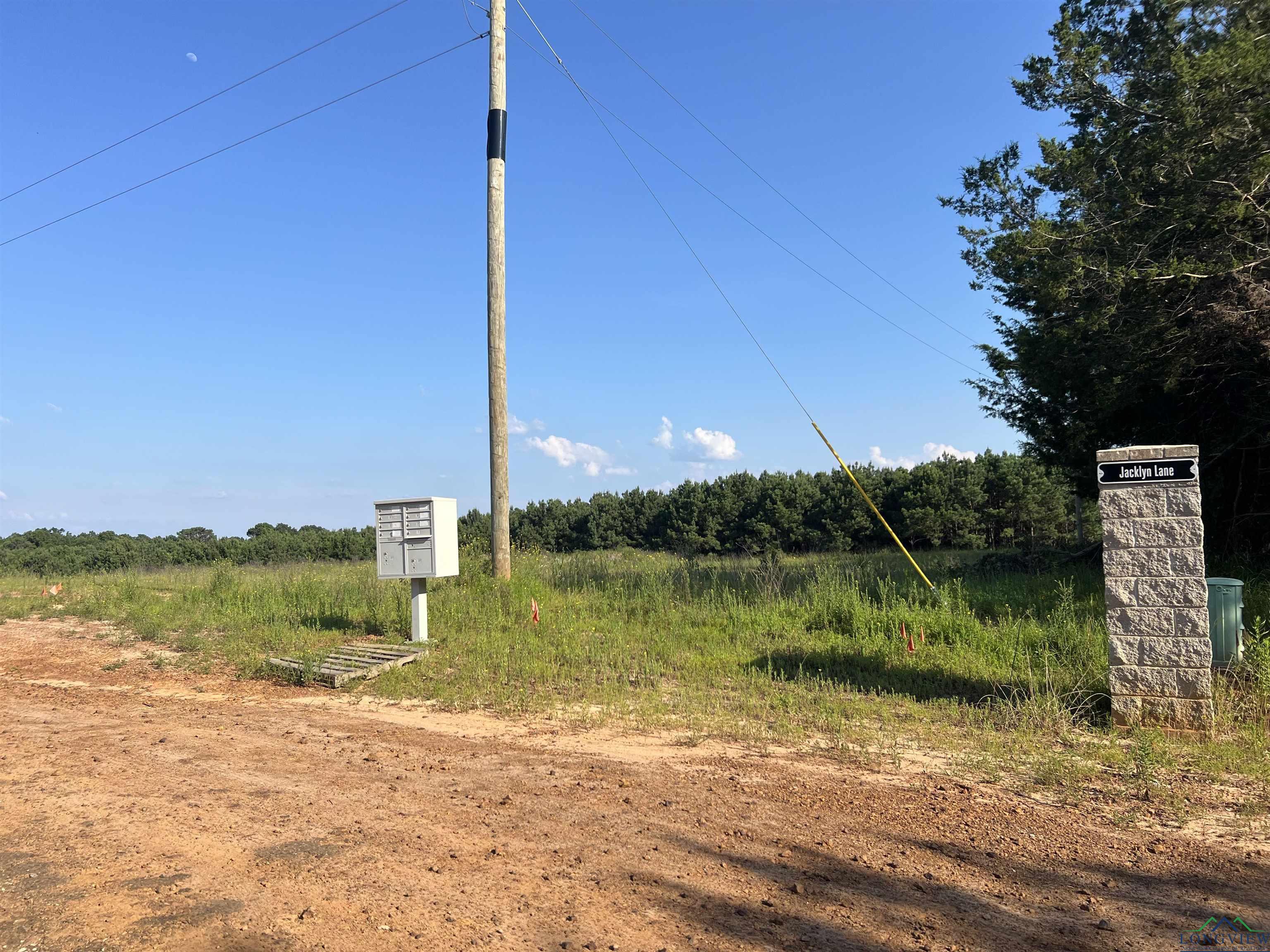 Lot 11 Jacklyn Ln, Diana, Texas image 4