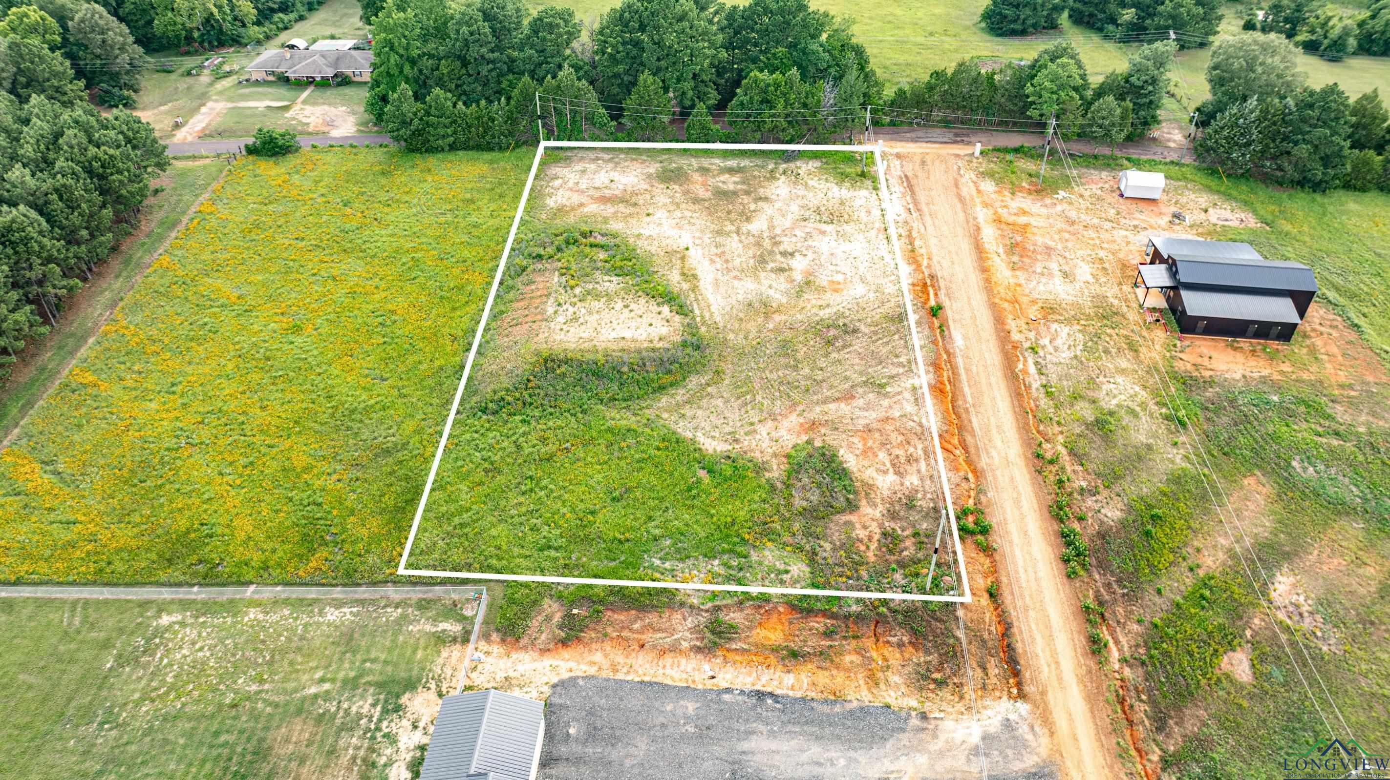 Lot 11 Jacklyn Ln, Diana, Texas image 9