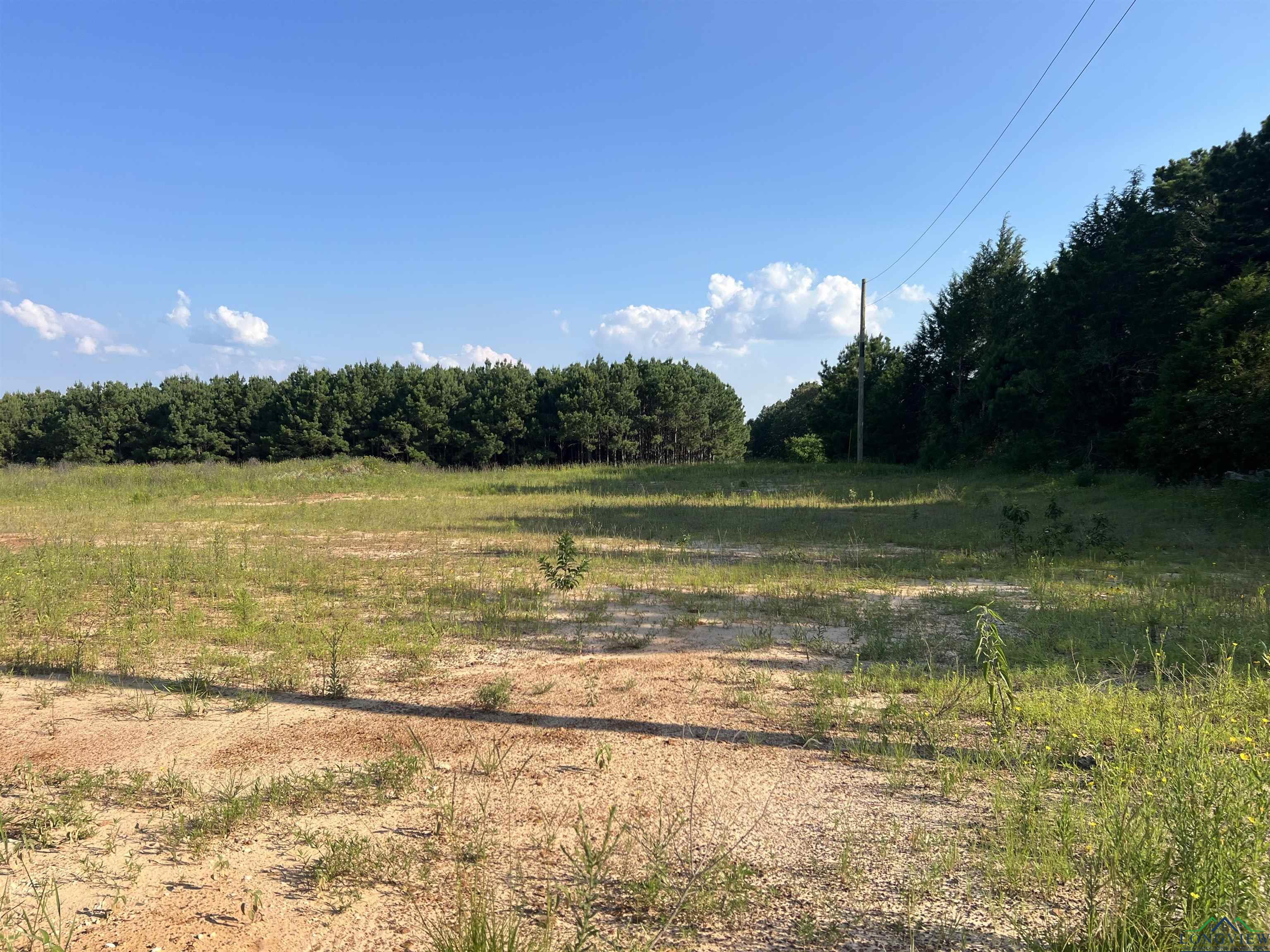 Lot 11 Jacklyn Ln, Diana, Texas image 1