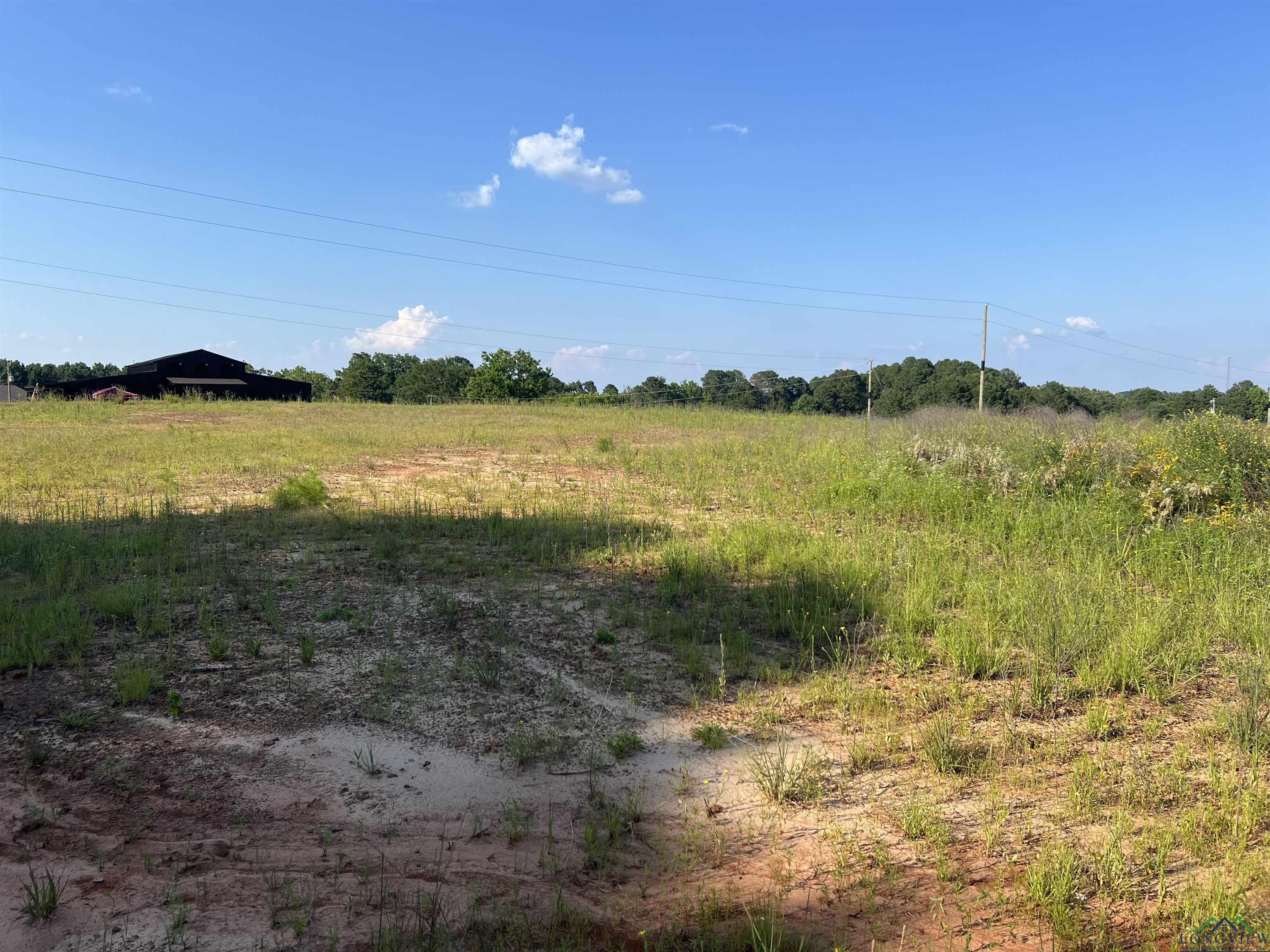 Lot 11 Jacklyn Ln, Diana, Texas image 3