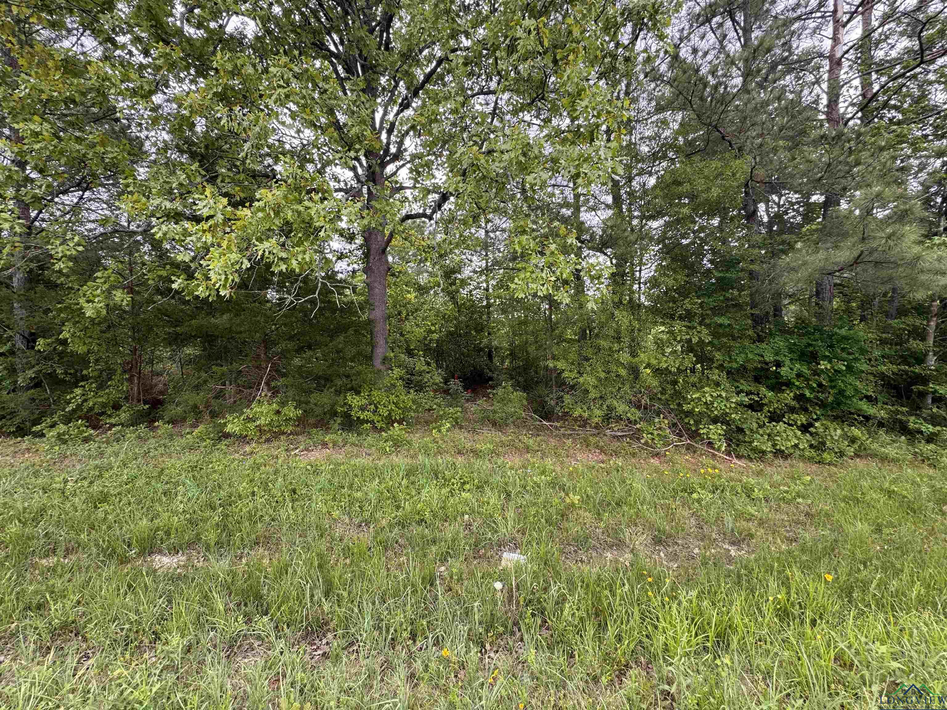 TBD Hwy 43, Jefferson, Texas image 1