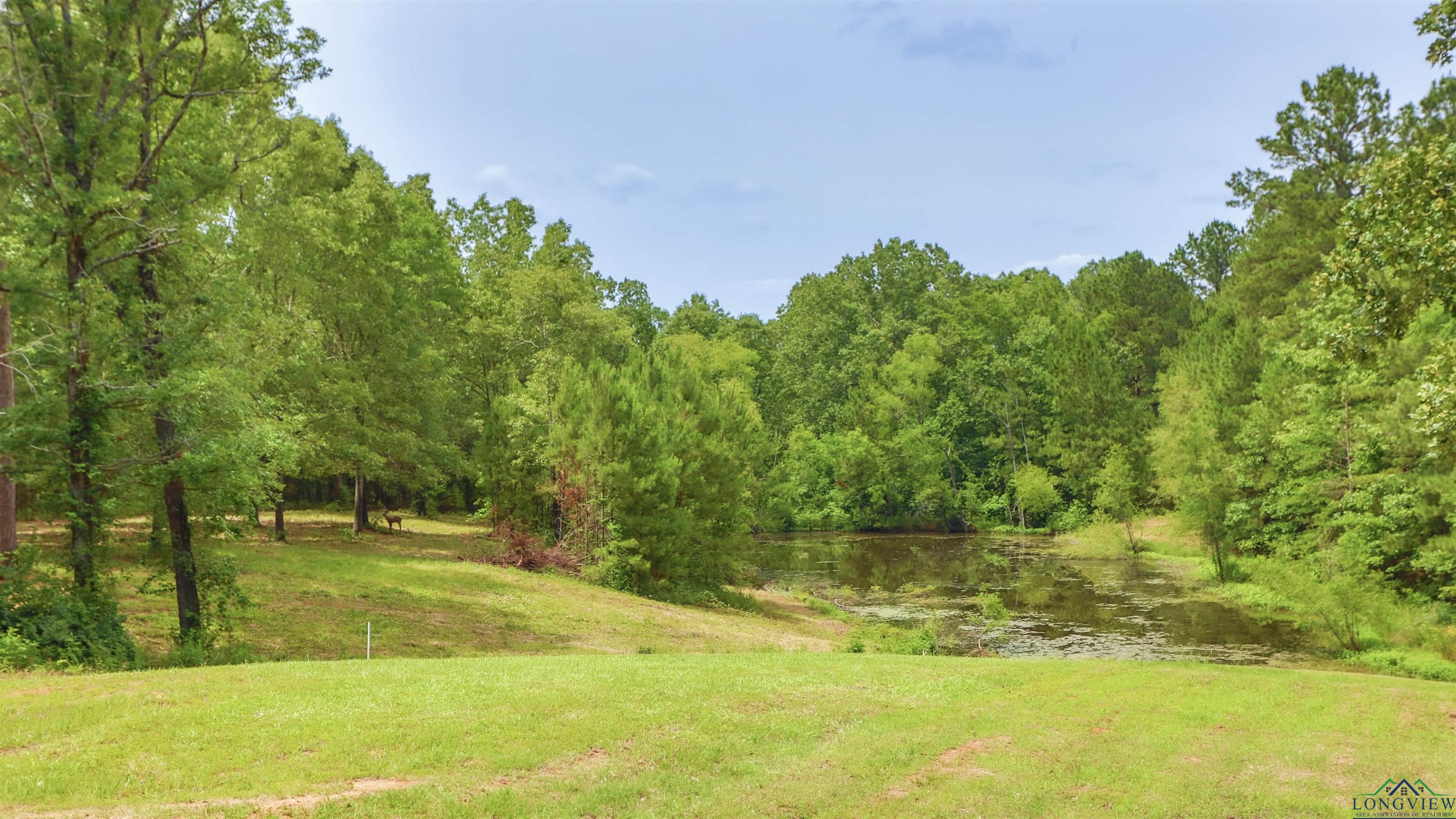 622 Pr 1147, Marshall, Texas image 9
