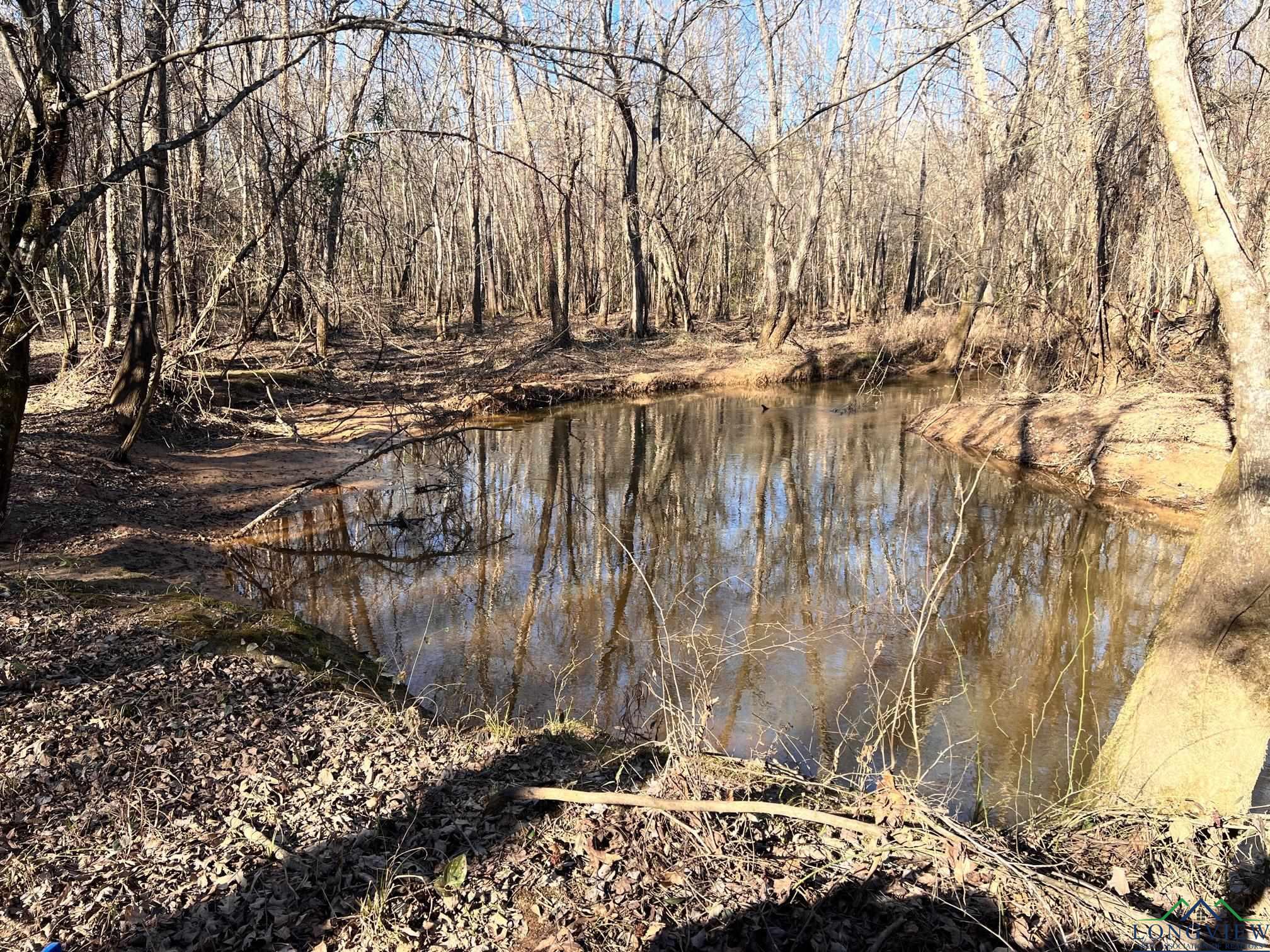 1601 County Road 1582, Avinger, Texas image 8