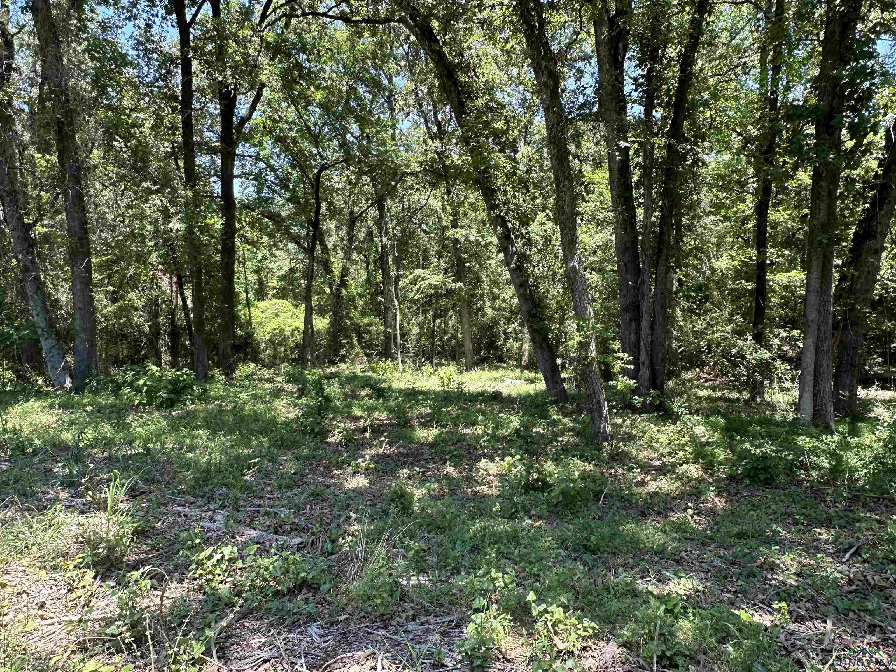 TBD Cr 2600, Pittsburg, Texas image 6