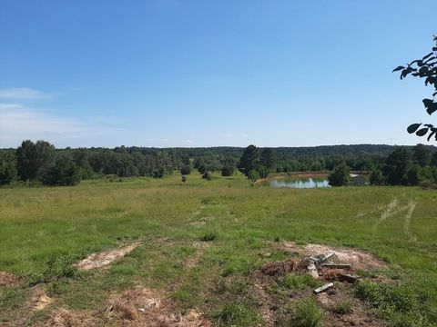 Vacant Land For Sale - 288 Evergreen Dr<br/> Harrison County, Marshall, TX 75672