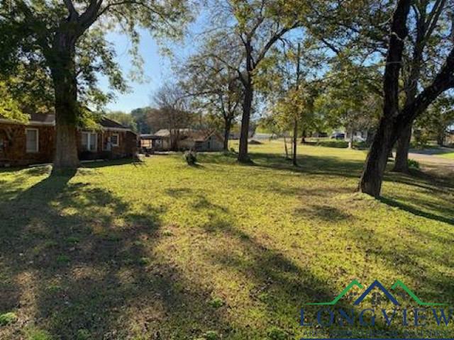 1156 Crabapple Rd, Big Sandy, Texas image 13