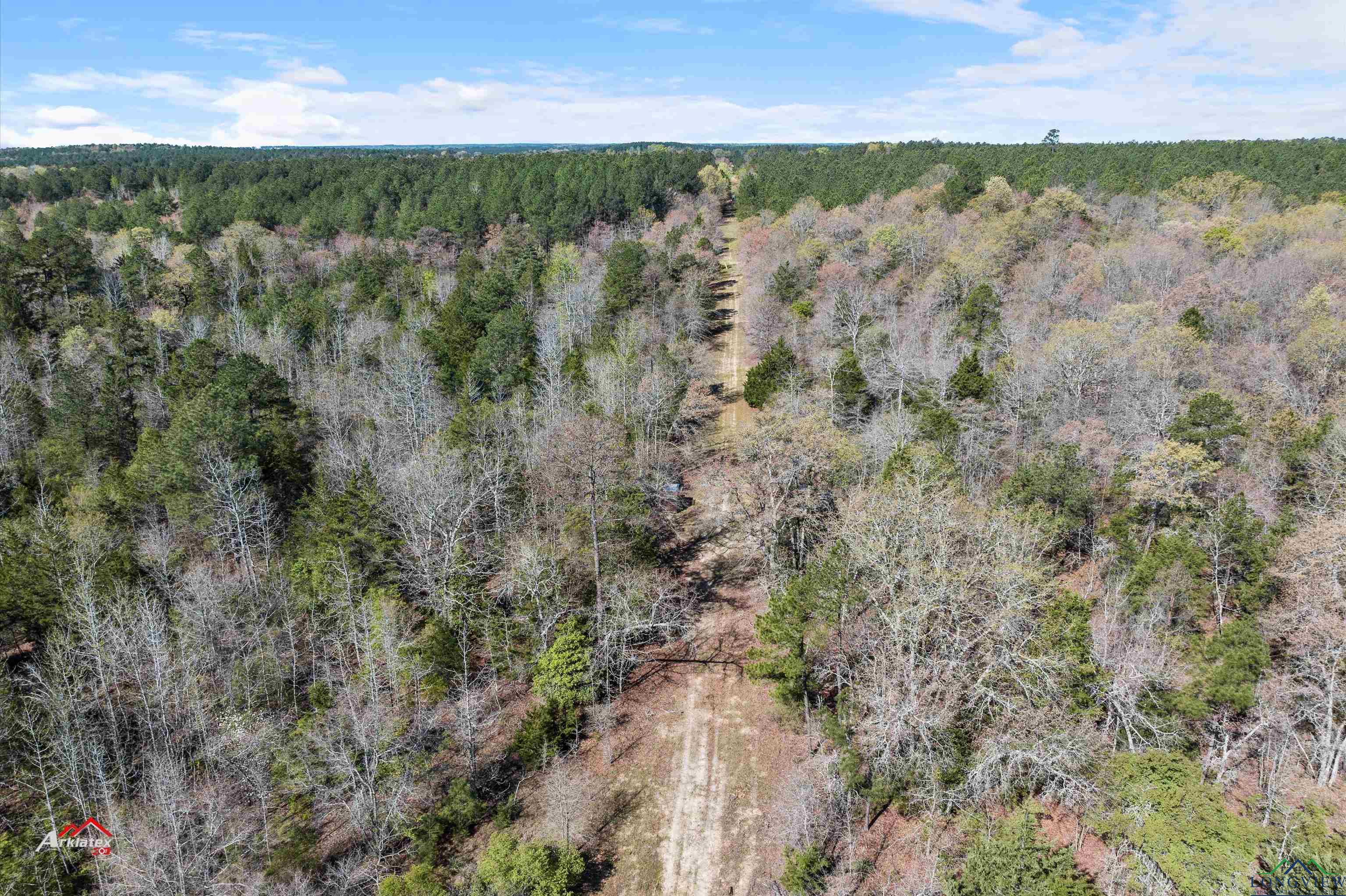 TBD Trinity Rd, Jefferson, Texas image 6