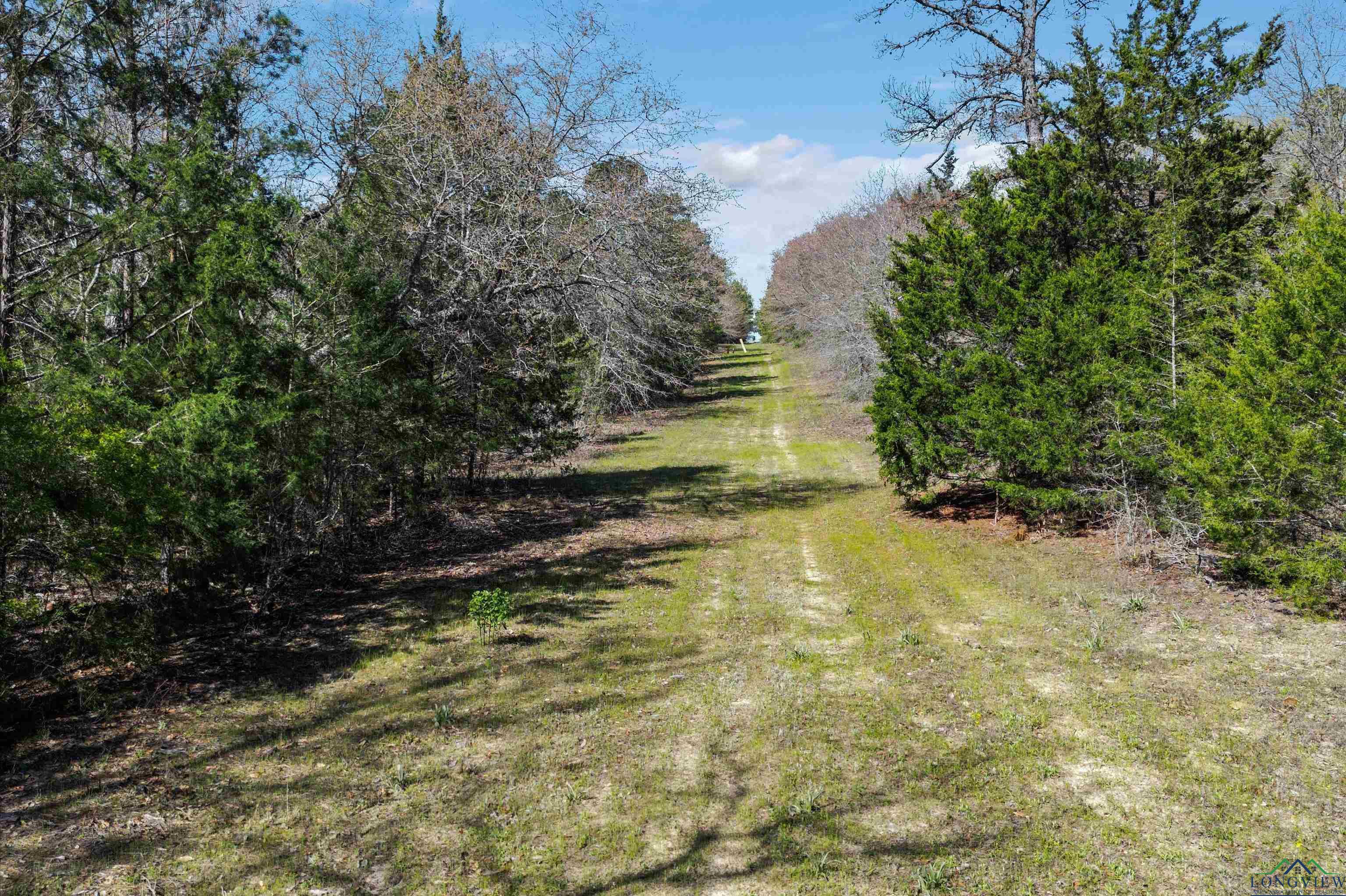 TBD Trinity Rd, Jefferson, Texas image 4