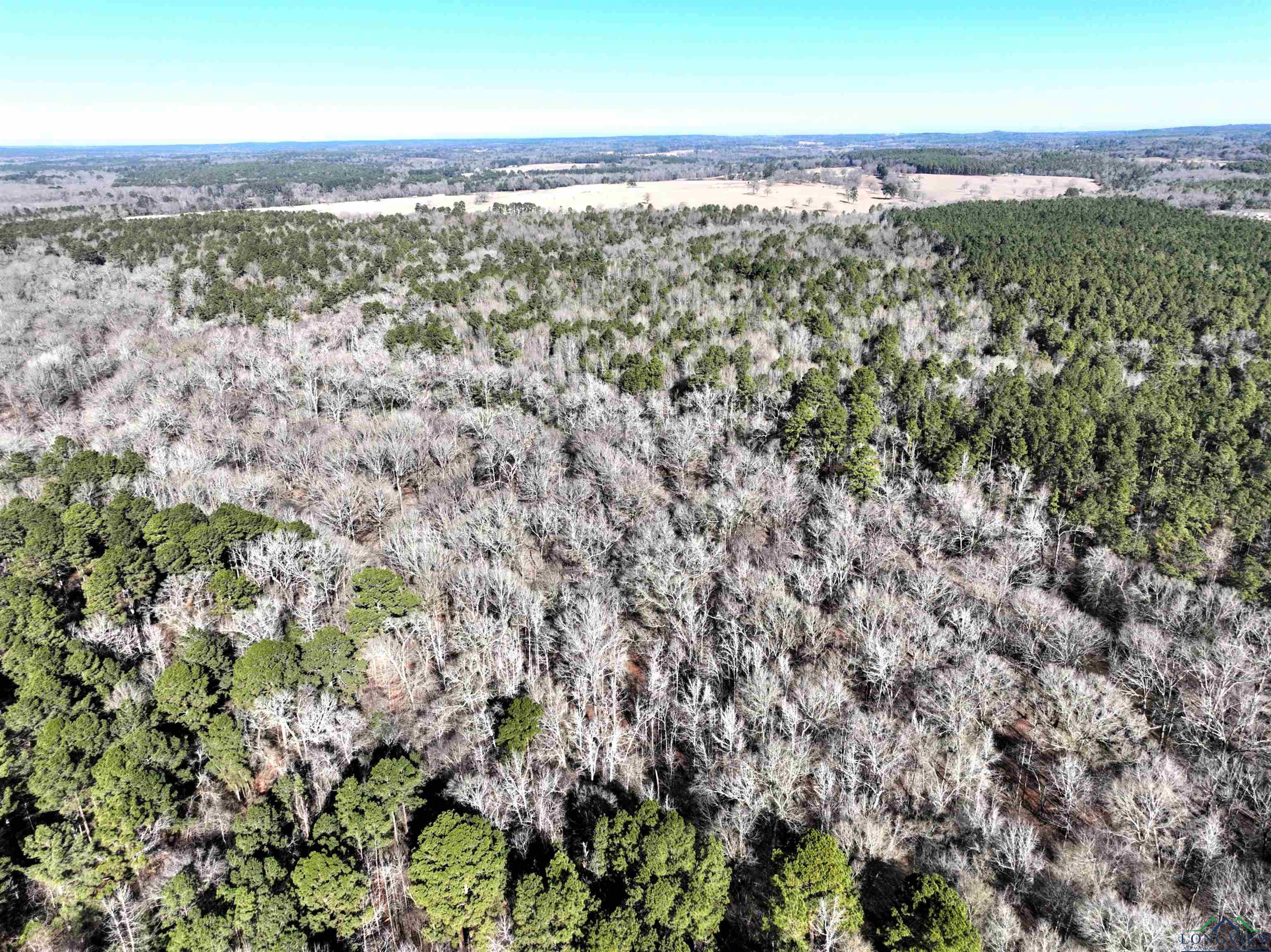 TBD Bamboo Road, Big Sandy, Texas image 15