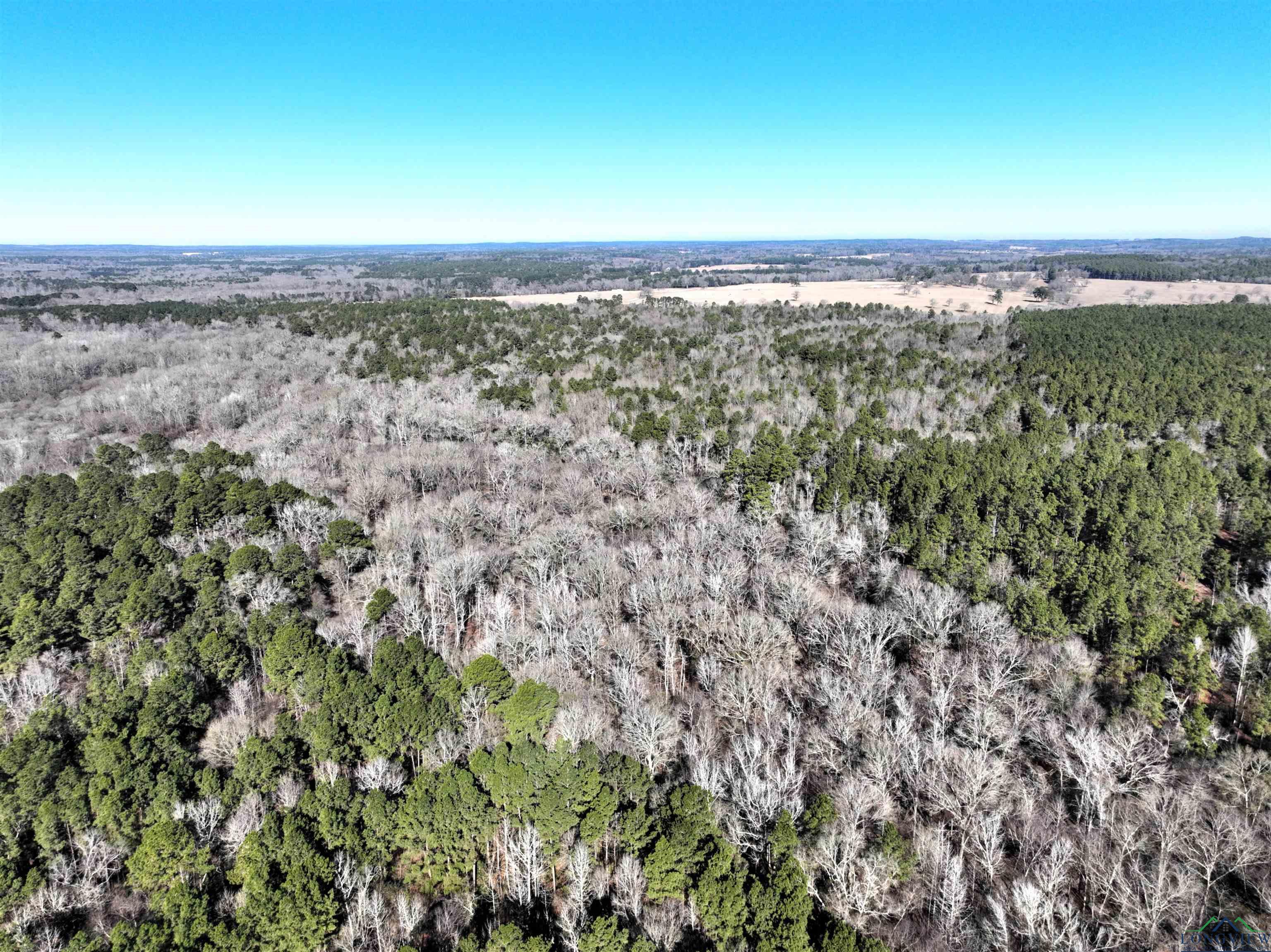 TBD Bamboo Road, Big Sandy, Texas image 12