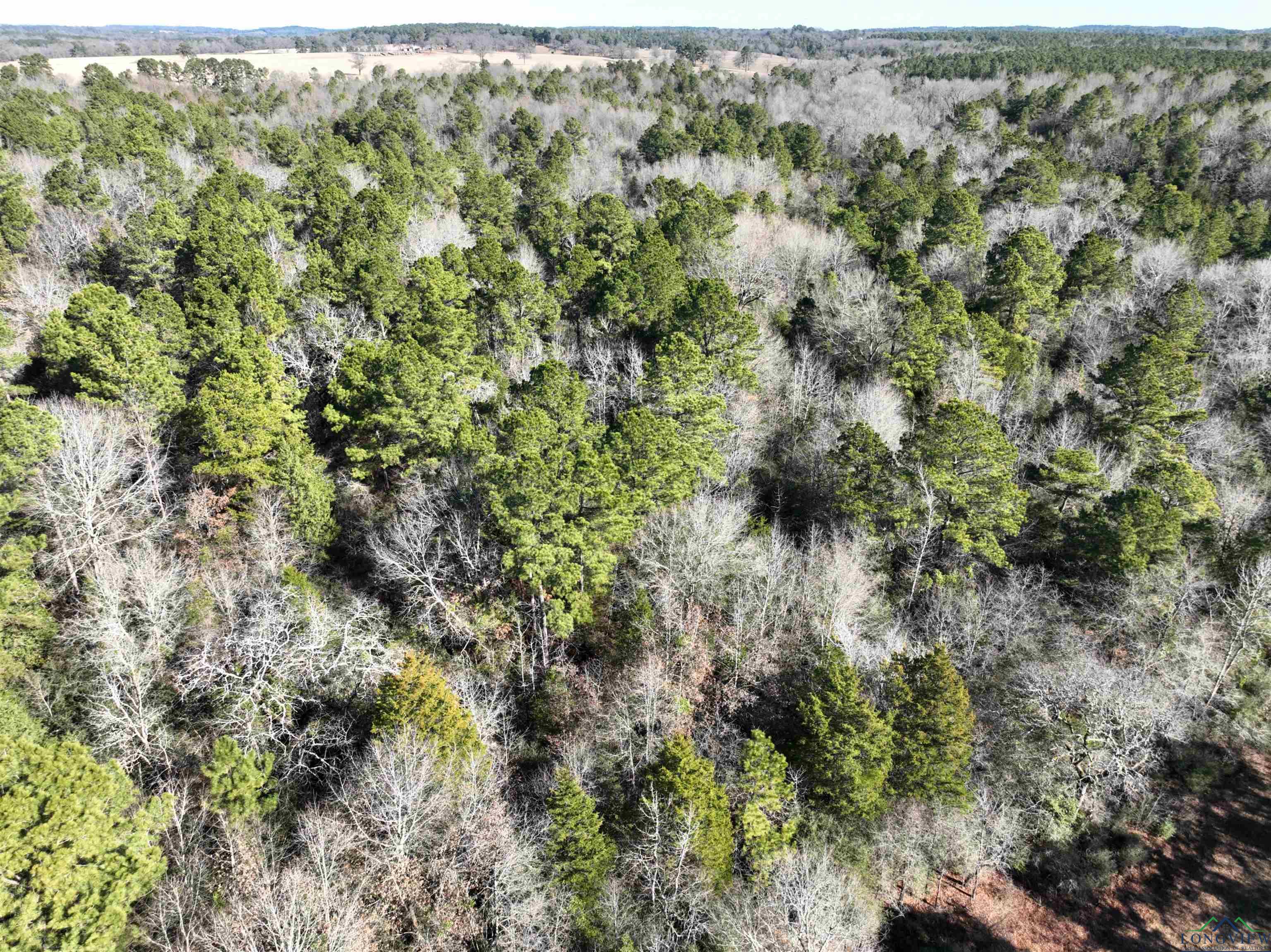 TBD Bamboo Road, Big Sandy, Texas image 8