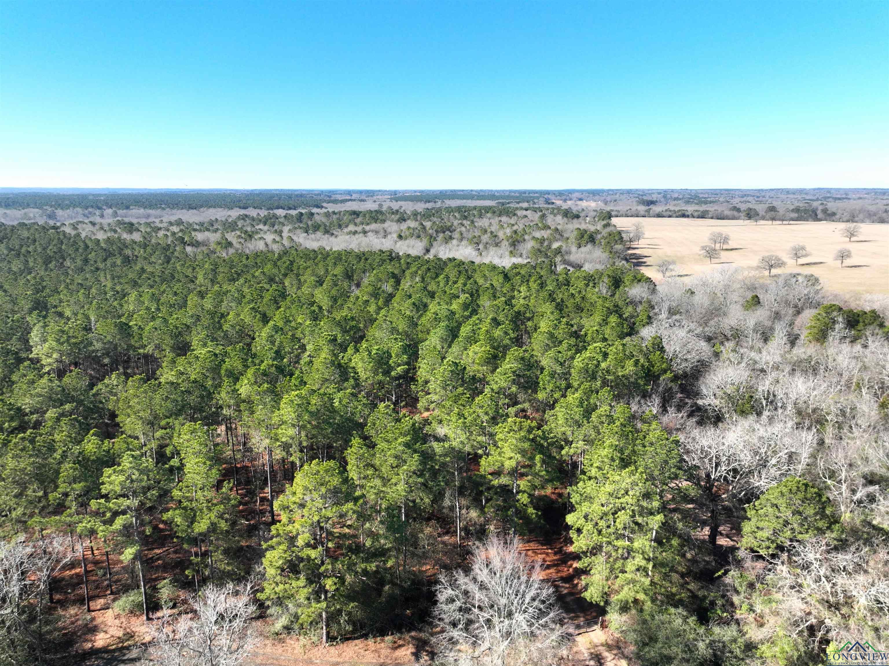 TBD Bamboo Road, Big Sandy, Texas image 24