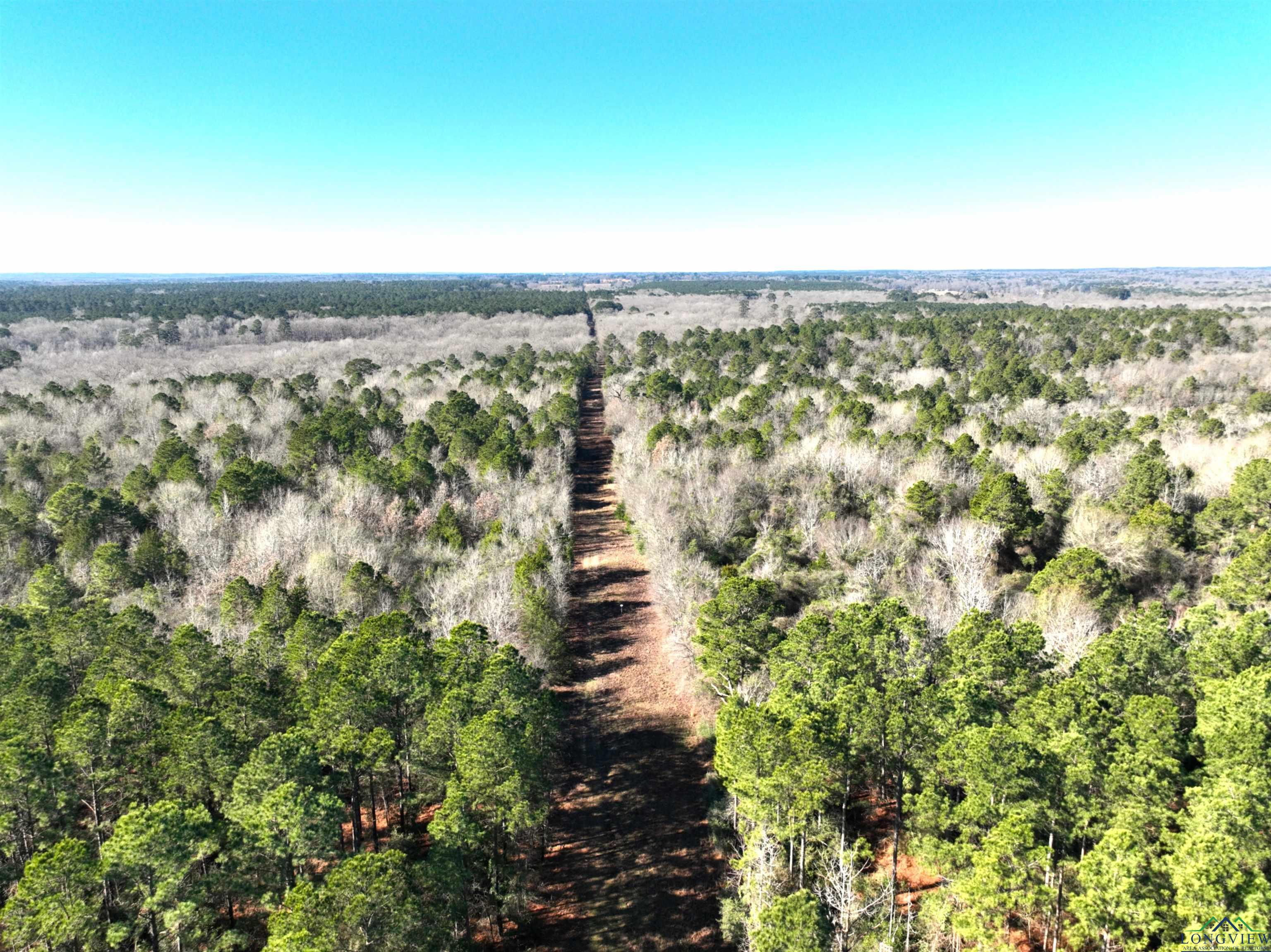 TBD Bamboo Road, Big Sandy, Texas image 6