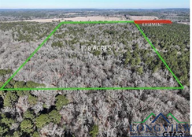 TBD Bamboo Road, Big Sandy, Texas image 1