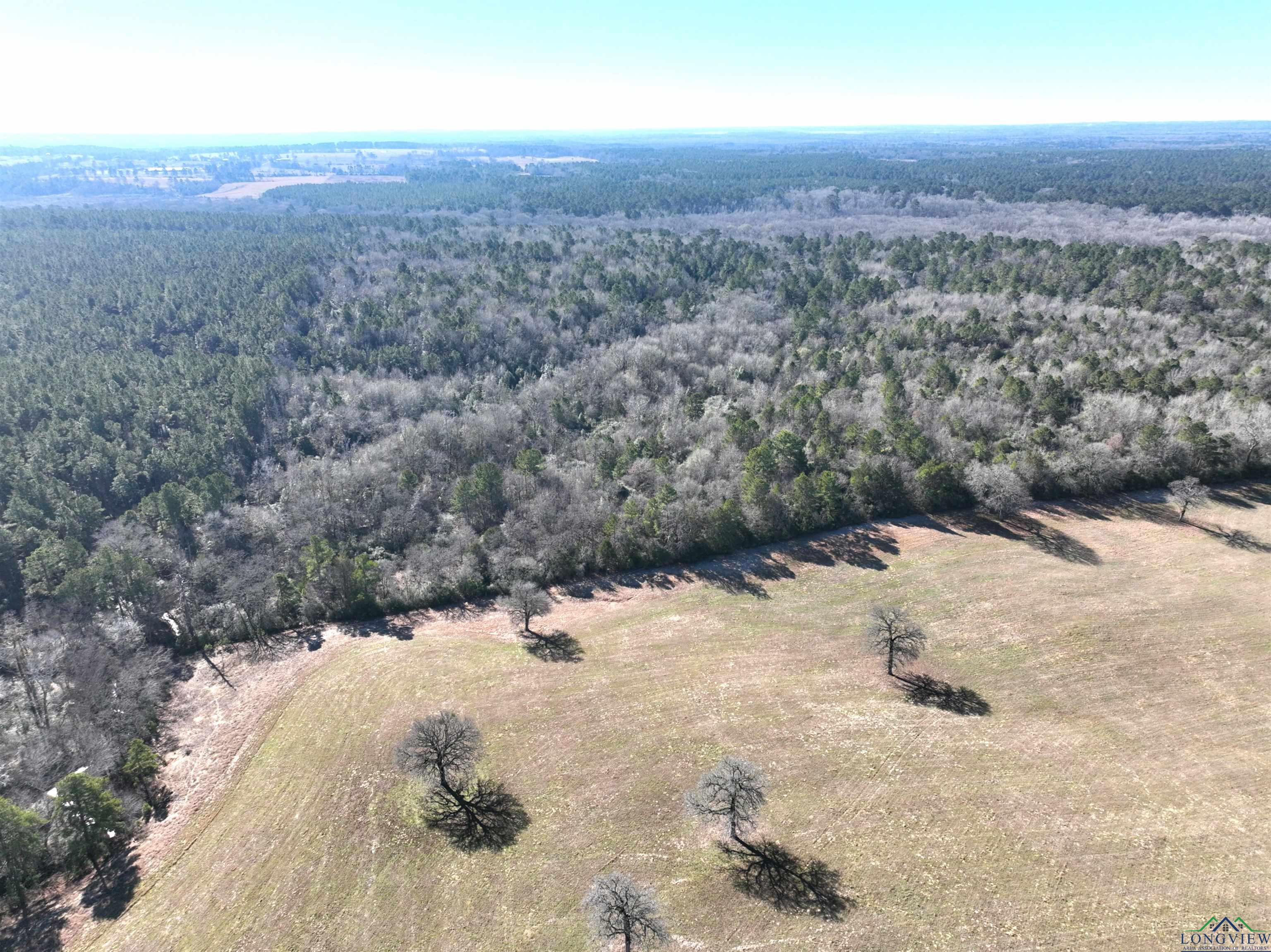 TBD Bamboo Road, Big Sandy, Texas image 22