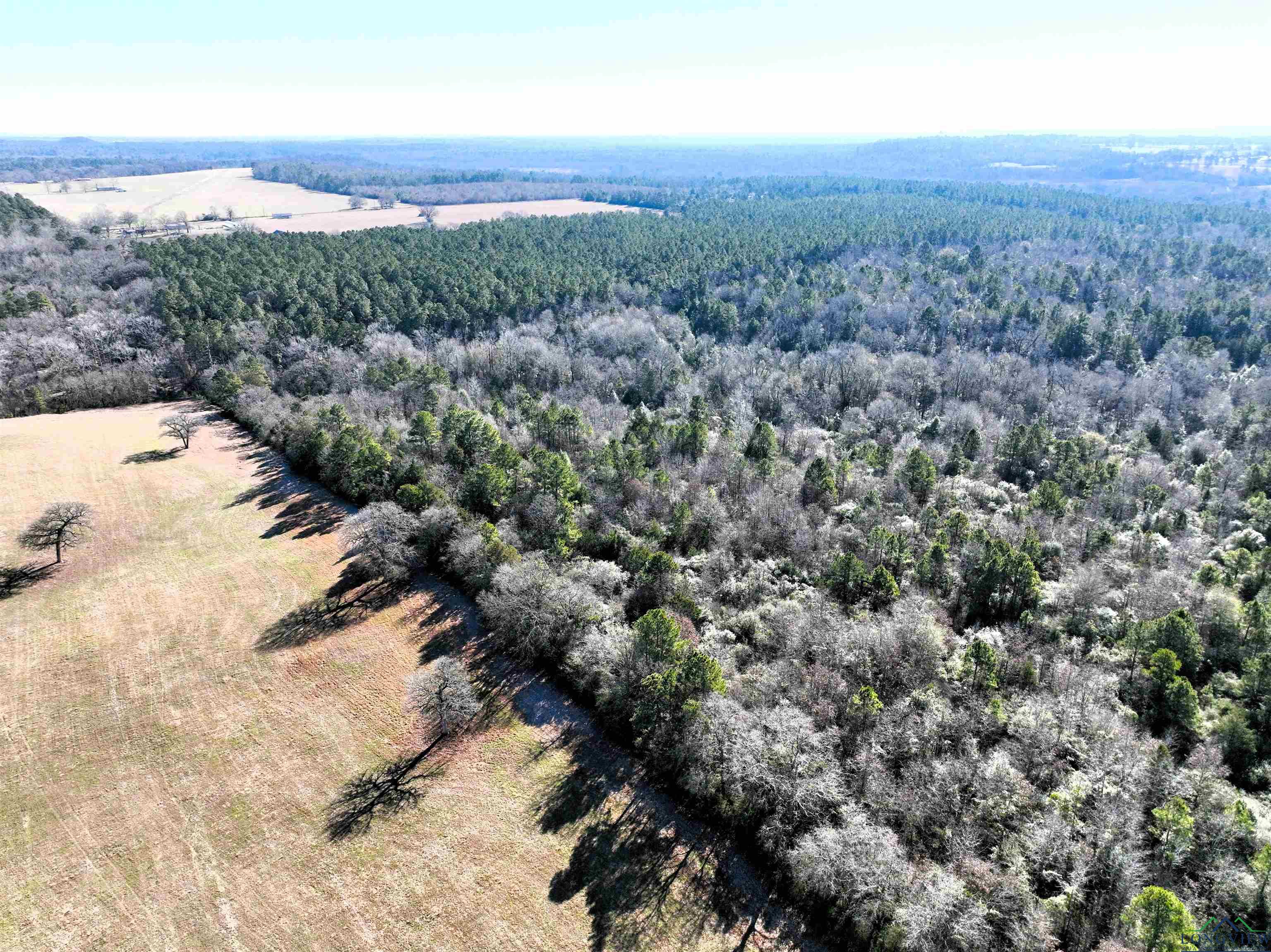 TBD Bamboo Road, Big Sandy, Texas image 11