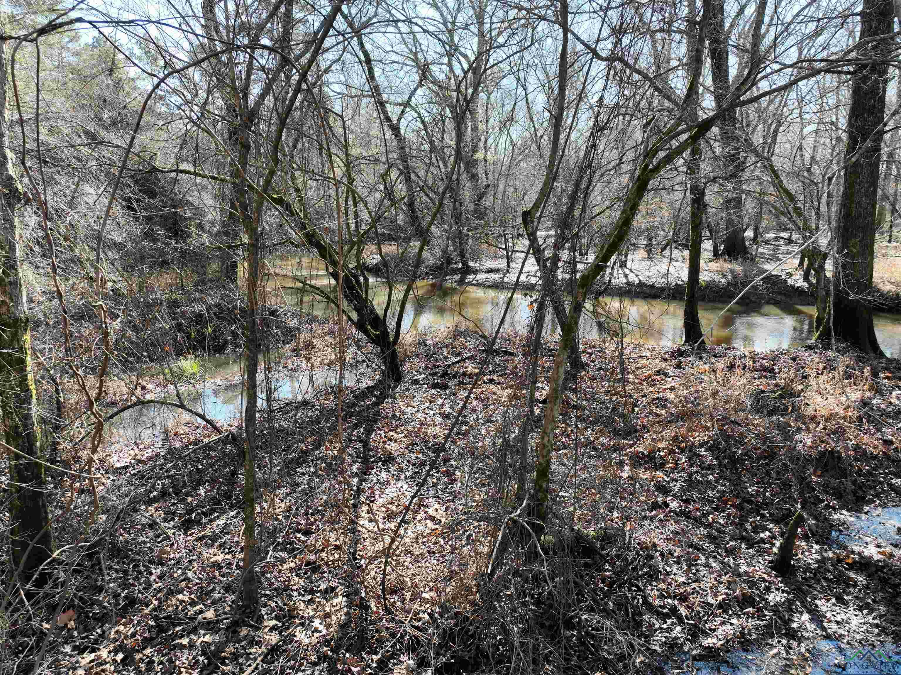 TBD Bamboo Road, Big Sandy, Texas image 4